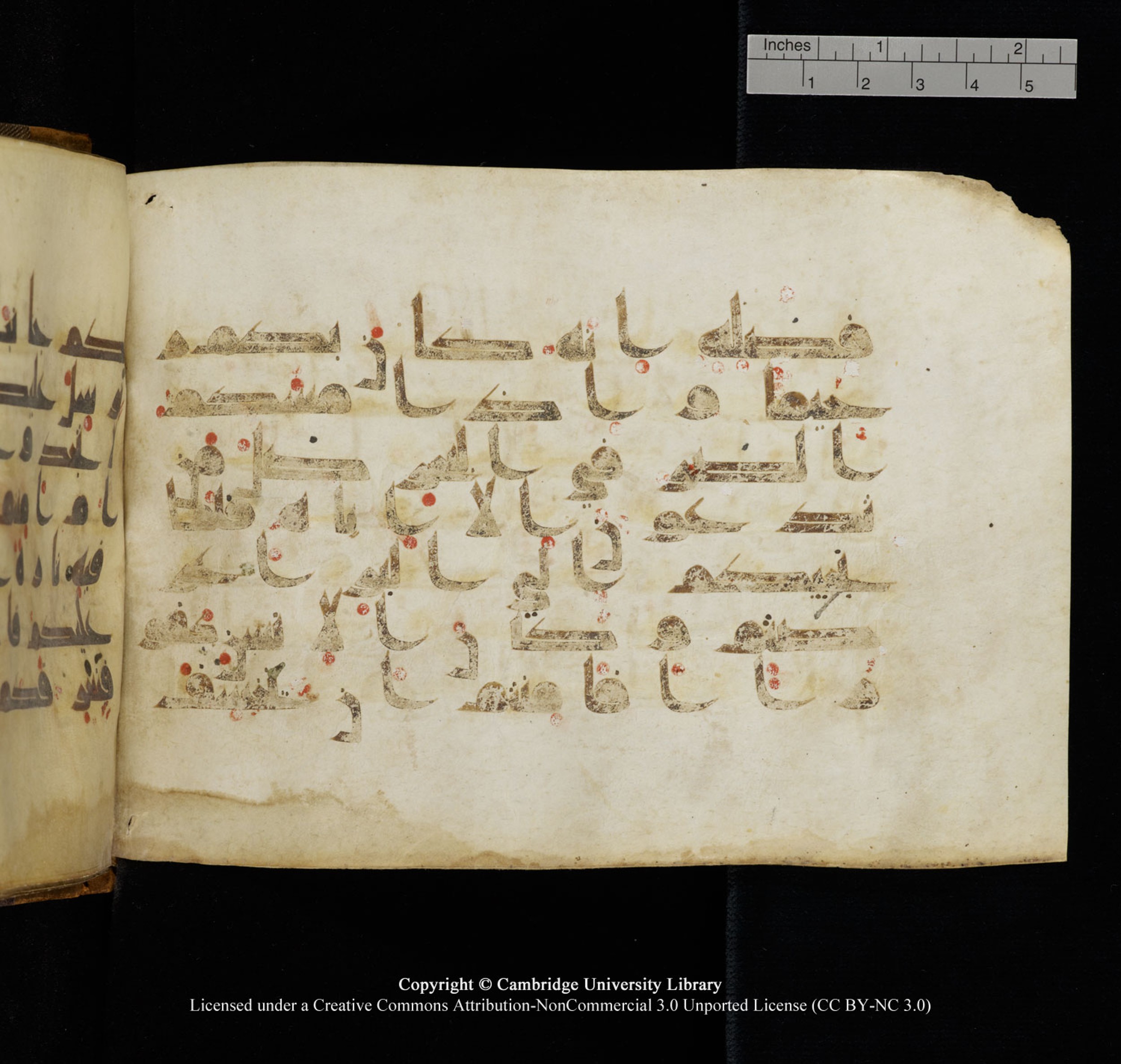 Cambridge University Library, MS Add.1132, in Kūfī D.I script, showing Surah 17:67 from 9th or 10th Century AD found in Sinai Peninsula, currently housed at Cambridge University Library, Cambridge, UK