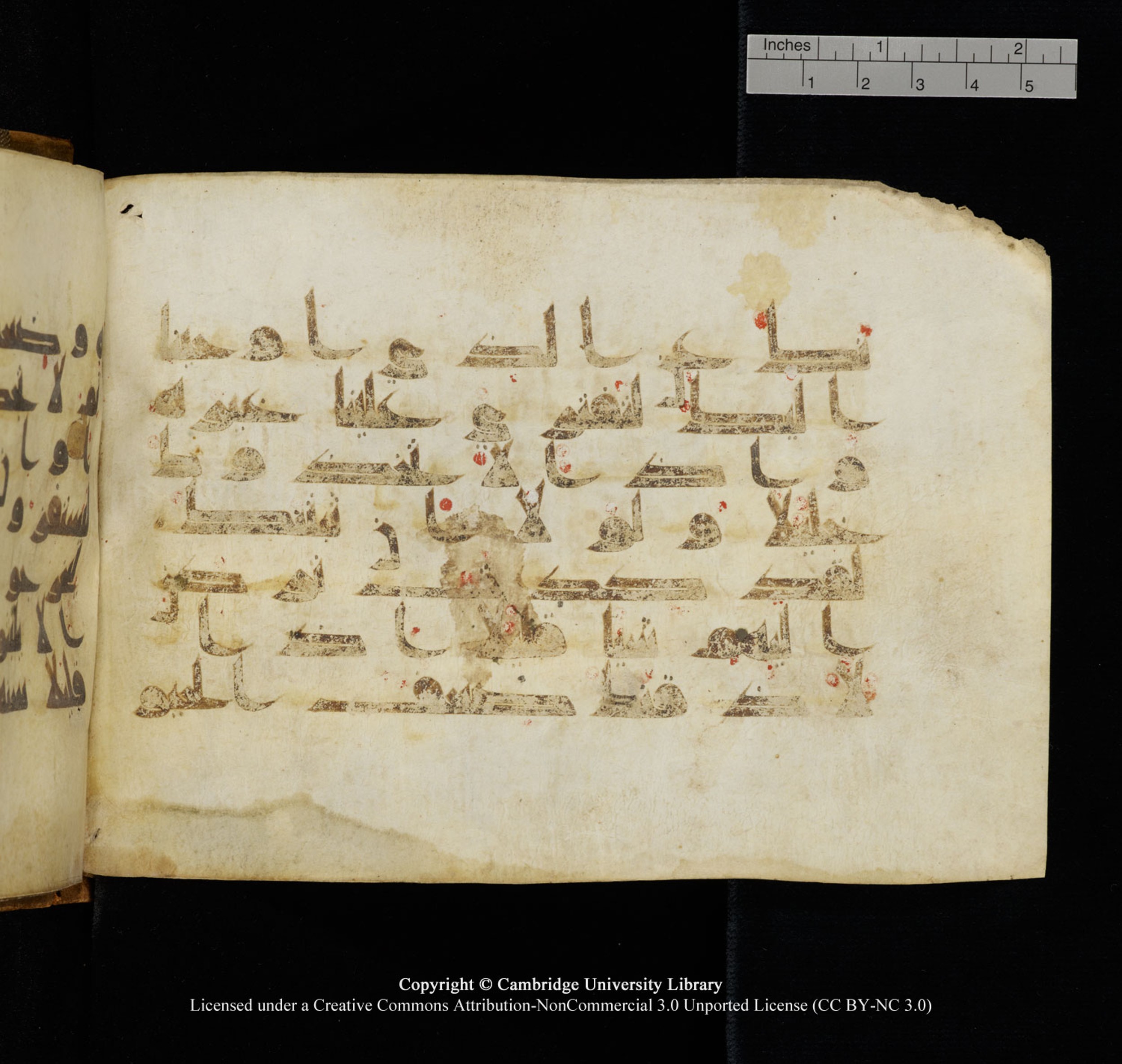 Cambridge University Library, MS Add.1132 (Scan 2), in Kūfī D.I script, showing Surah 17:73 from 9th or 10th Century AD found in Sinai Peninsula, currently housed at Cambridge University Library, Cambridge, UK