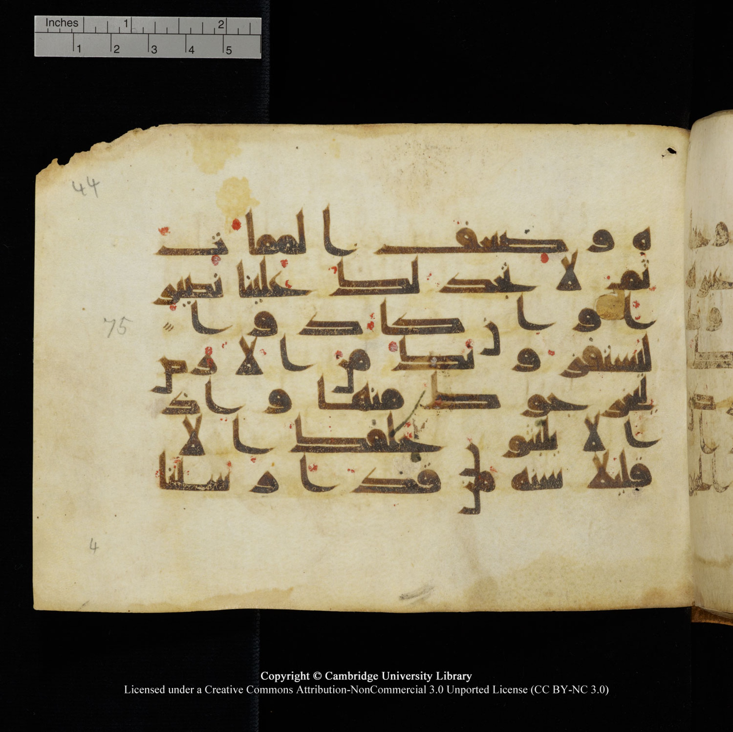Cambridge University Library, MS Add.1132, in Kūfī D.I script, showing Surah 17:76 from 9th or 10th Century AD found in Sinai Peninsula, currently housed at Cambridge University Library, Cambridge, UK