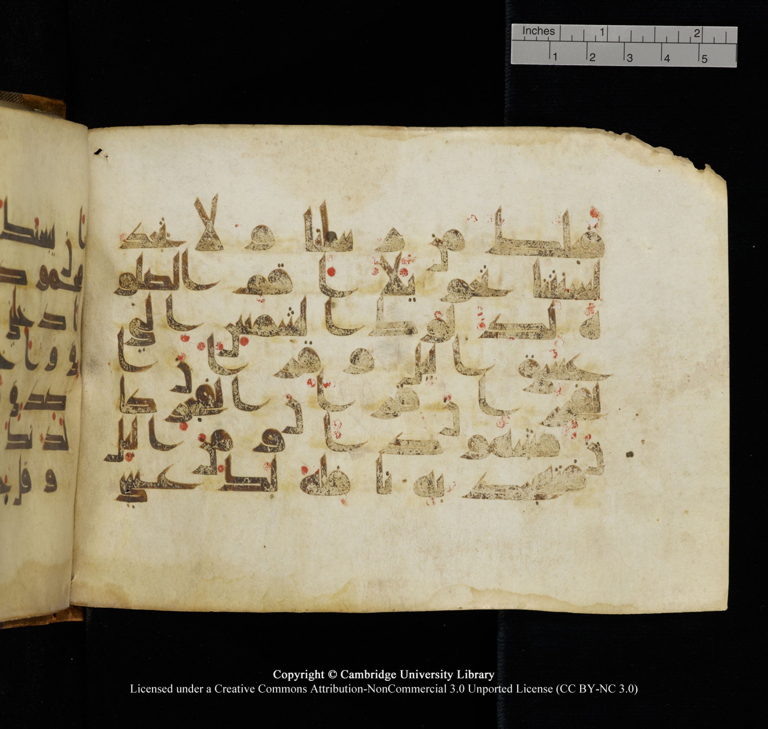 Cambridge University Library, MS Add.1132 (Scan 1), in Kūfī D.I script, showing Surah 17:79 from 9th or 10th Century AD found in Sinai Peninsula, currently housed at Cambridge University Library, Cambridge, UK