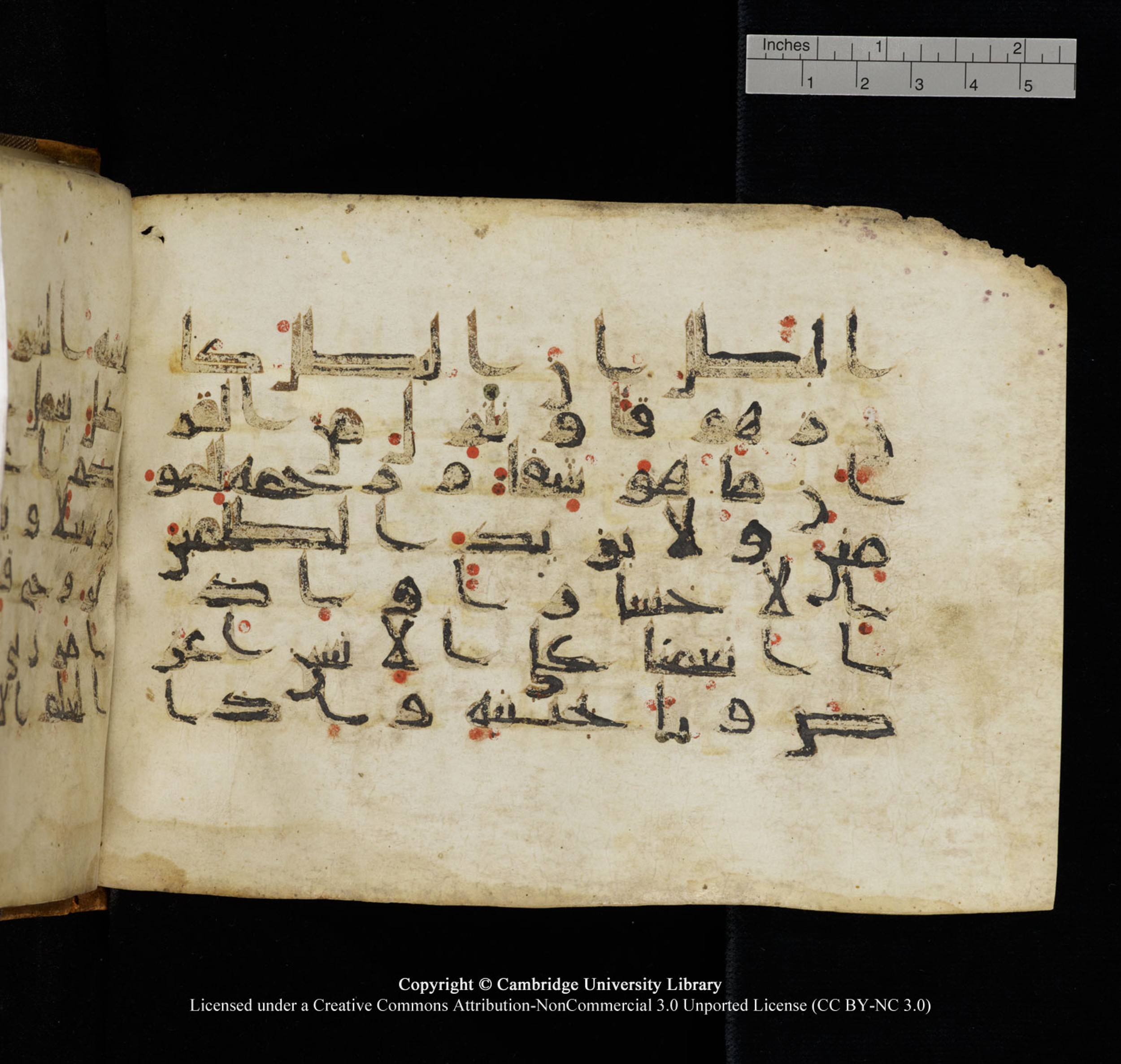 Cambridge University Library, MS Add.1132, in Kūfī D.I script, showing Surah 17:82 from 9th or 10th Century AD found in Sinai Peninsula, currently housed at Cambridge University Library, Cambridge, UK