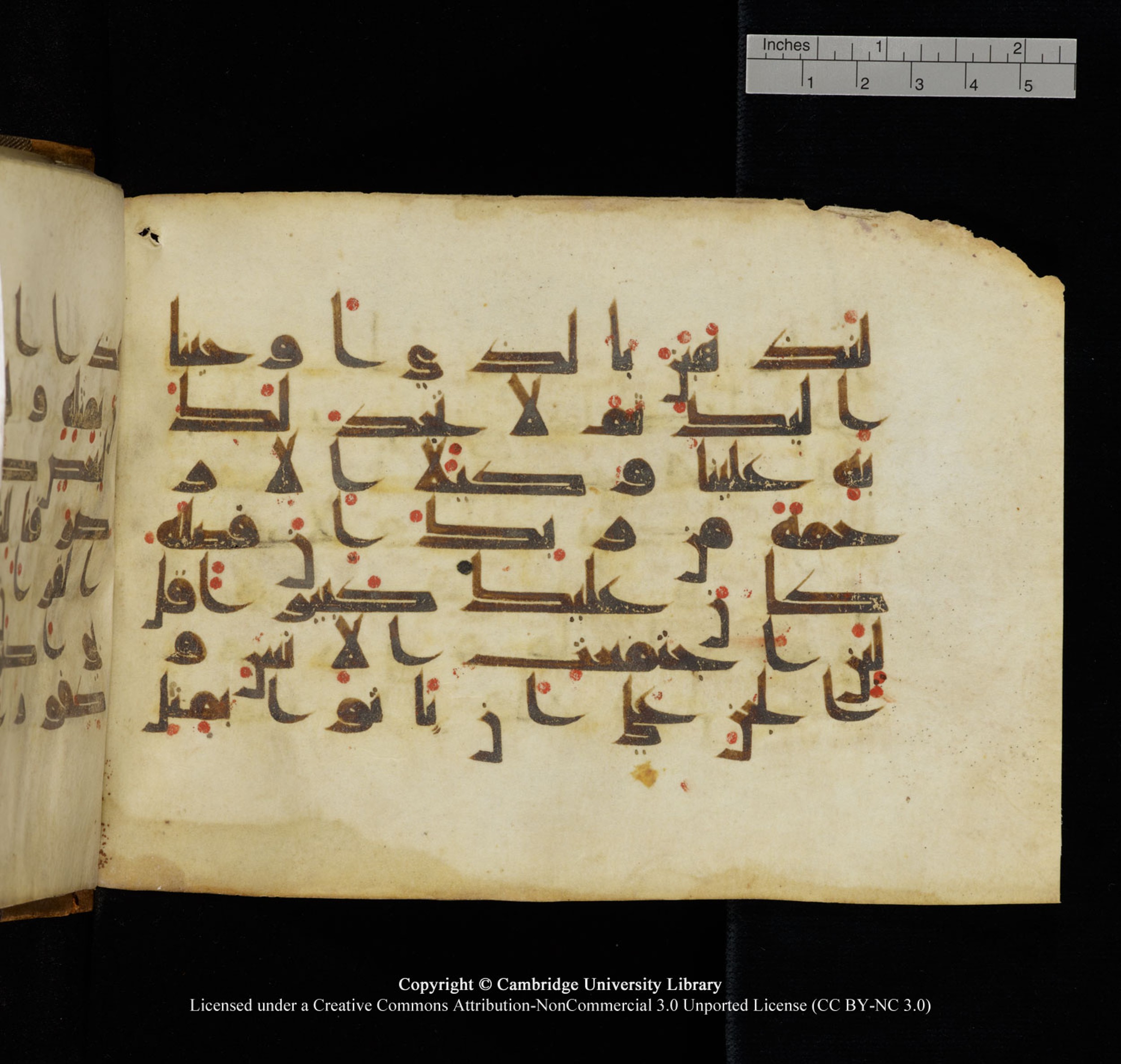 Cambridge University Library, MS Add.1132 (Scan 1), in Kūfī D.I script, showing Surah 17:88 from 9th or 10th Century AD found in Sinai Peninsula, currently housed at Cambridge University Library, Cambridge, UK