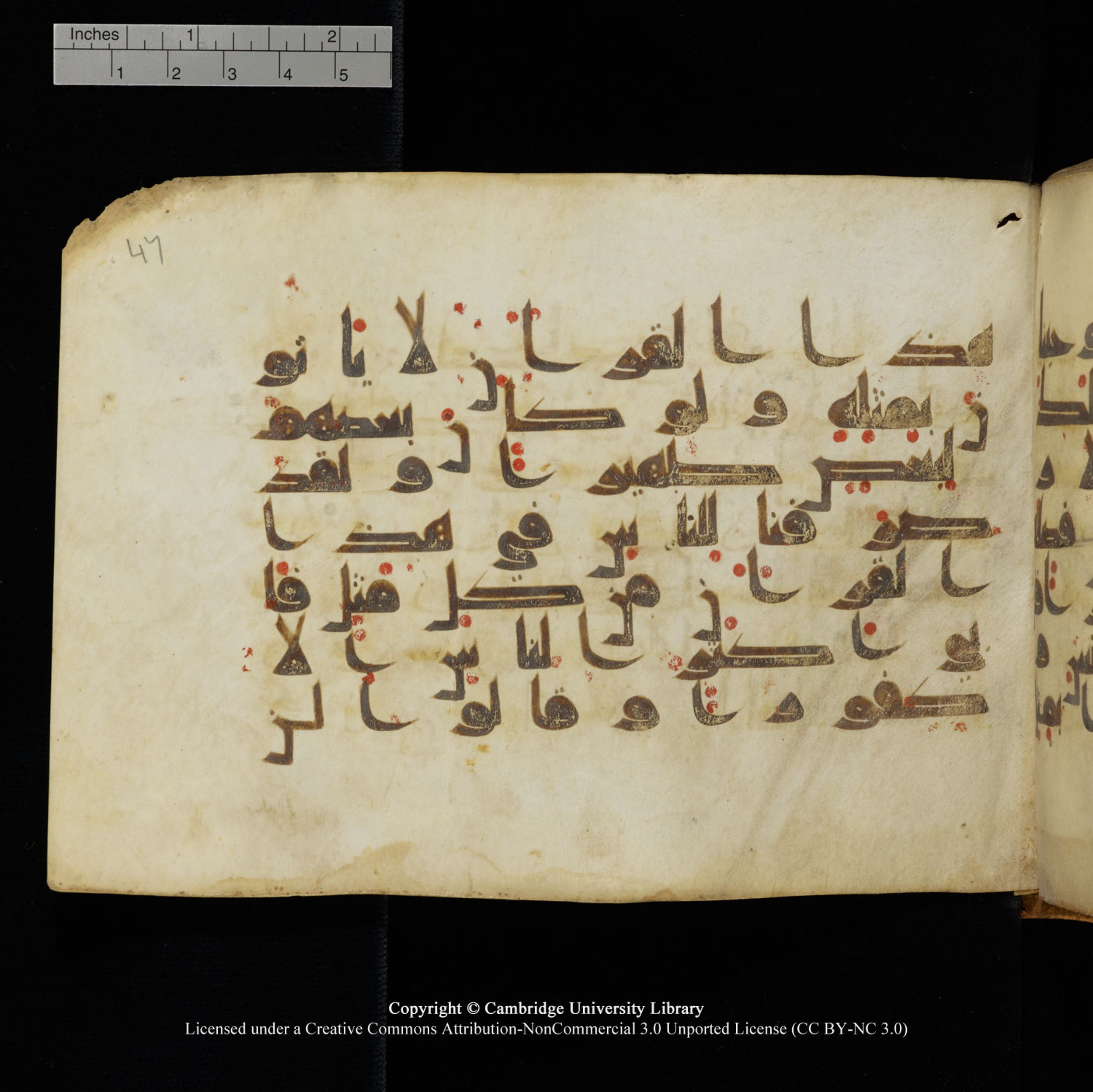 Cambridge University Library, MS Add.1132, in Kūfī D.I script, showing Surah 17:89 from 9th or 10th Century AD found in Sinai Peninsula, currently housed at Cambridge University Library, Cambridge, UK