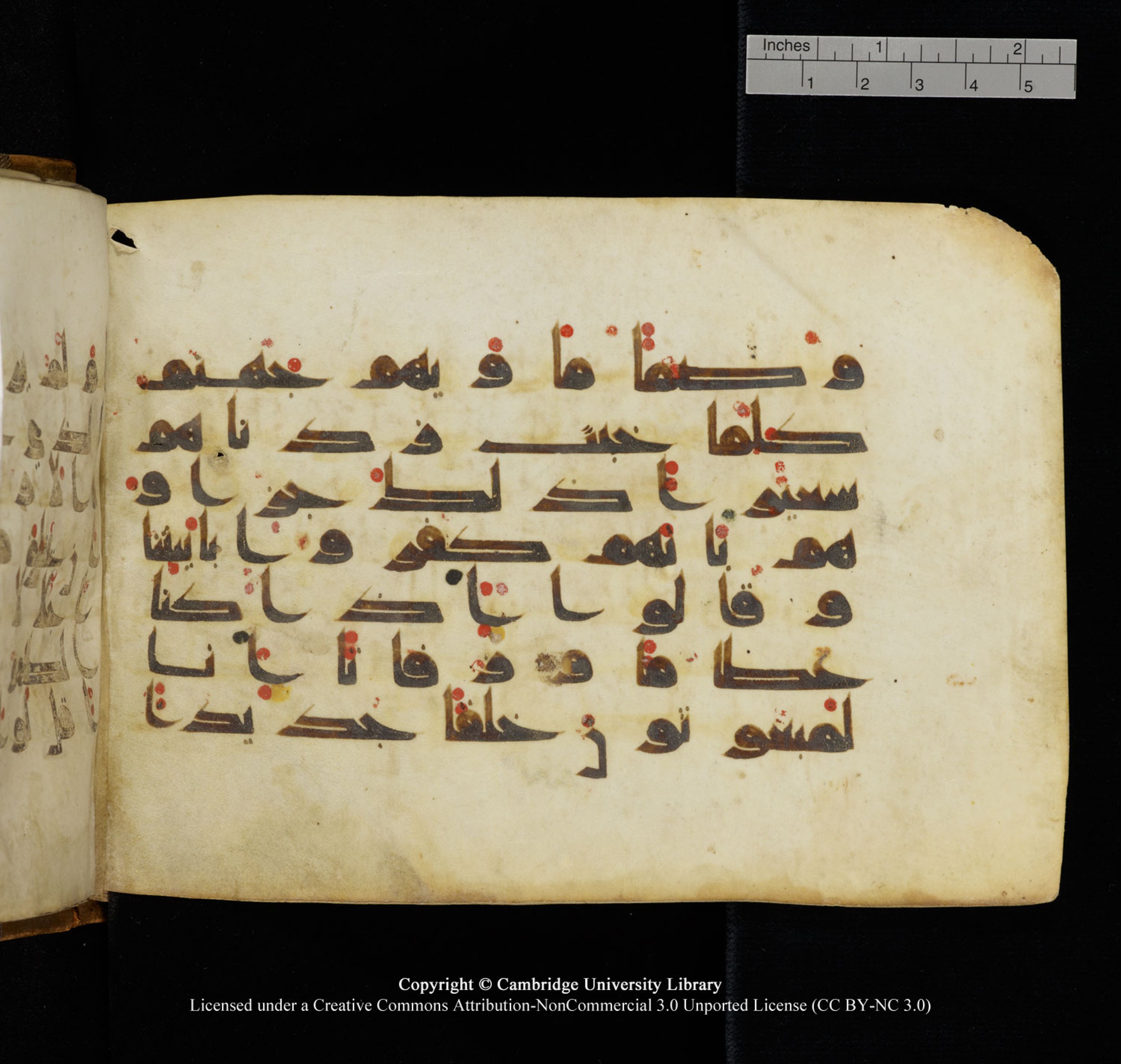 Cambridge University Library, MS Add.1132 (Scan 2), in Kūfī D.I script, showing Surah 17:97 from 9th or 10th Century AD found in Sinai Peninsula, currently housed at Cambridge University Library, Cambridge, UK