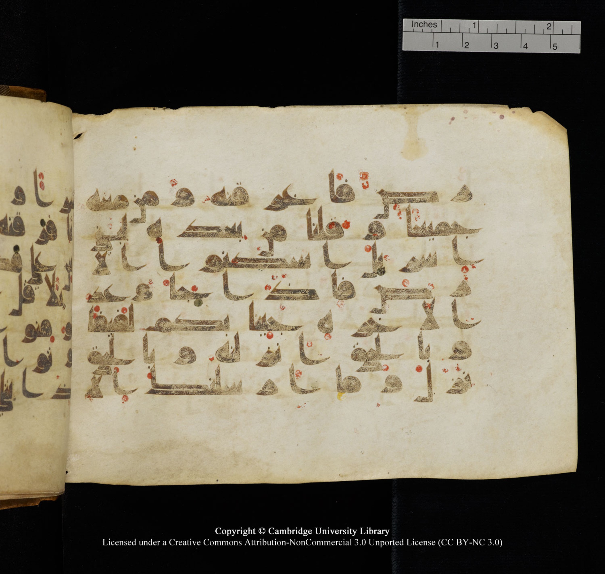 Cambridge University Library, MS Add.1132, in Kūfī D.I script, showing Surah 17:103 from 9th or 10th Century AD found in Sinai Peninsula, currently housed at Cambridge University Library, Cambridge, UK