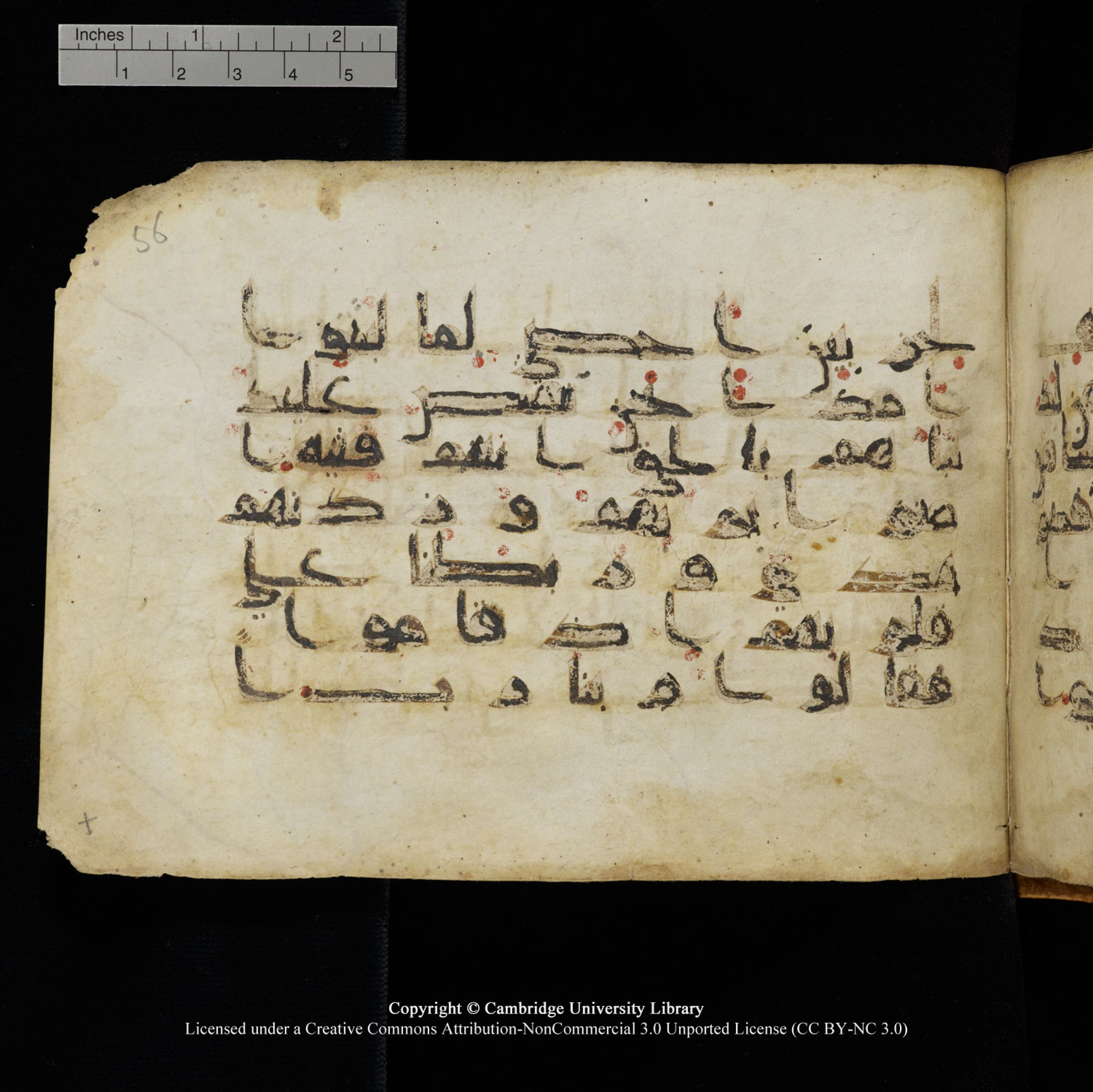 Cambridge University Library, MS Add.1132, in Kūfī D.I script, showing Surah 18:13 from 9th or 10th Century AD found in Sinai Peninsula, currently housed at Cambridge University Library, Cambridge, UK