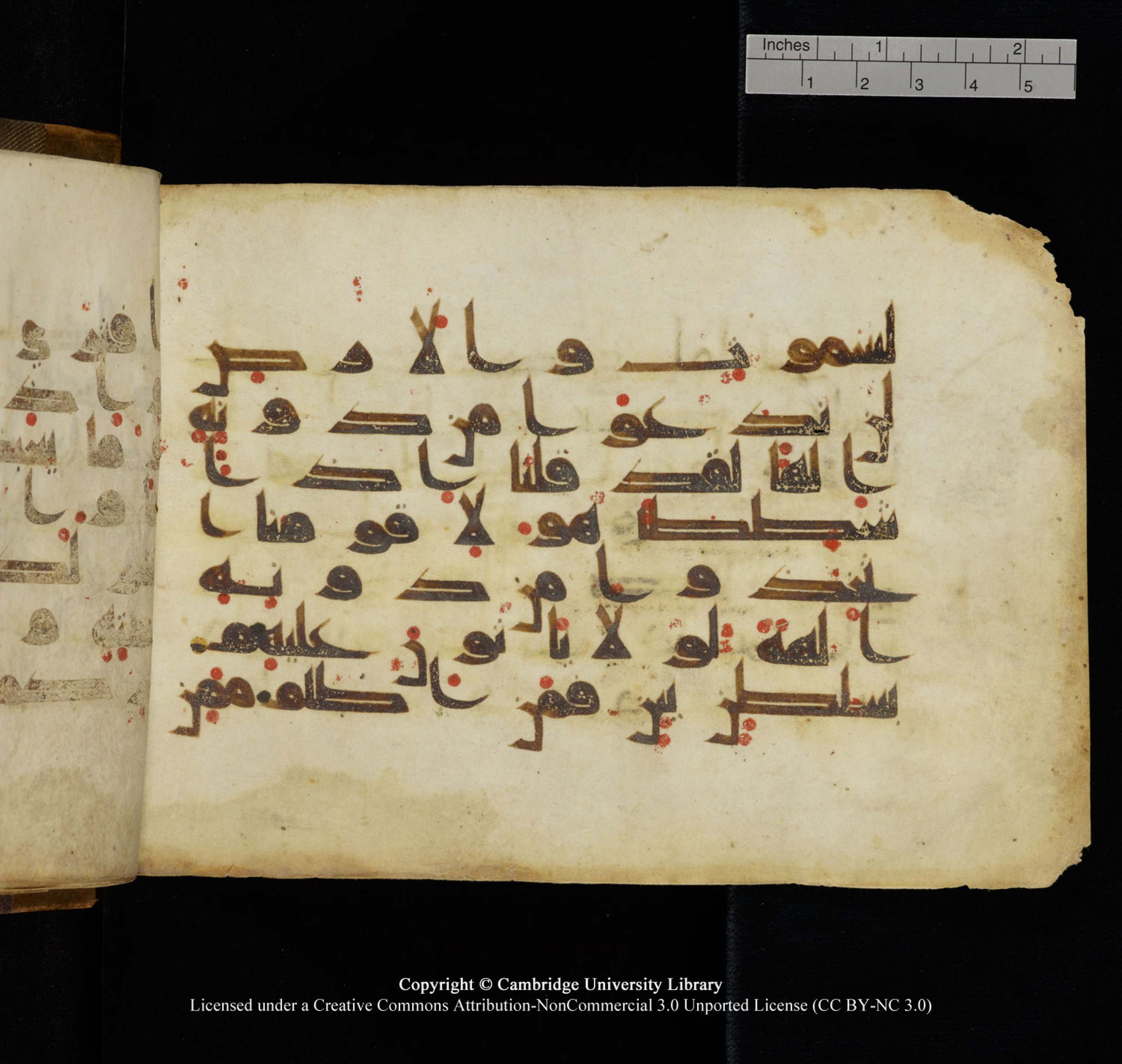 Cambridge University Library, MS Add.1132 (Scan 2), in Kūfī D.I script, showing Surah 18:14 from 9th or 10th Century AD found in Sinai Peninsula, currently housed at Cambridge University Library, Cambridge, UK