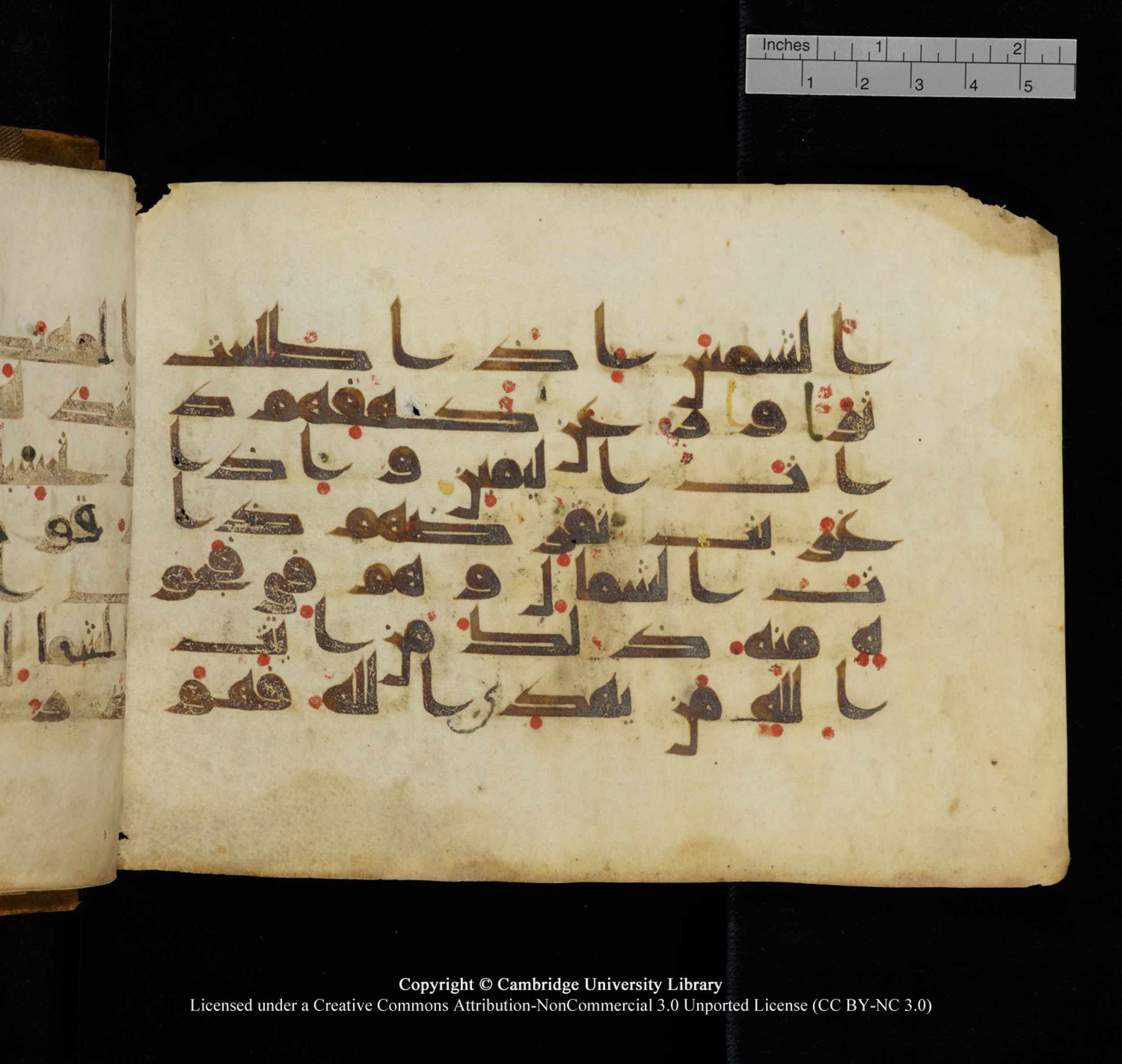 Cambridge University Library, MS Add.1132 (Scan 2), in Kūfī D.I script, showing Surah 18:17 from 9th or 10th Century AD found in Sinai Peninsula, currently housed at Cambridge University Library, Cambridge, UK