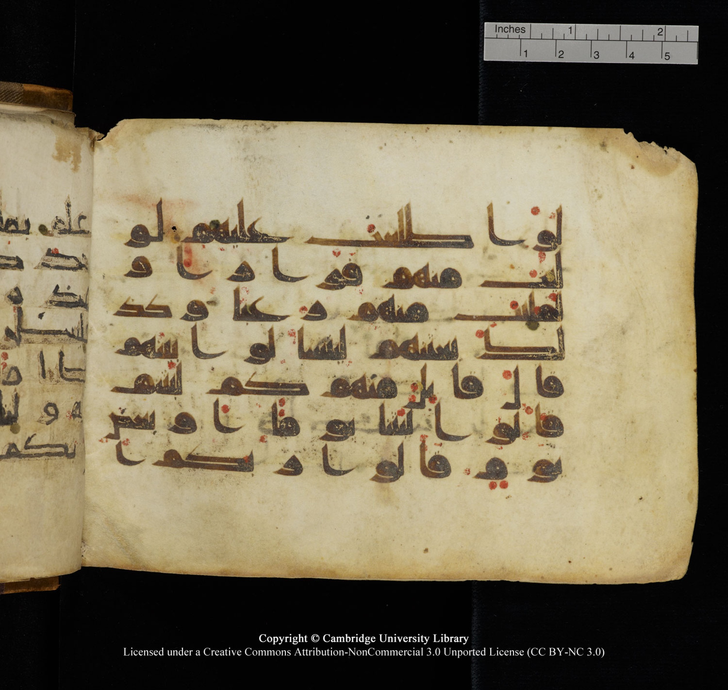 Cambridge University Library, MS Add.1132 (Scan 1), in Kūfī D.I script, showing Surah 18:19 from 9th or 10th Century AD found in Sinai Peninsula, currently housed at Cambridge University Library, Cambridge, UK
