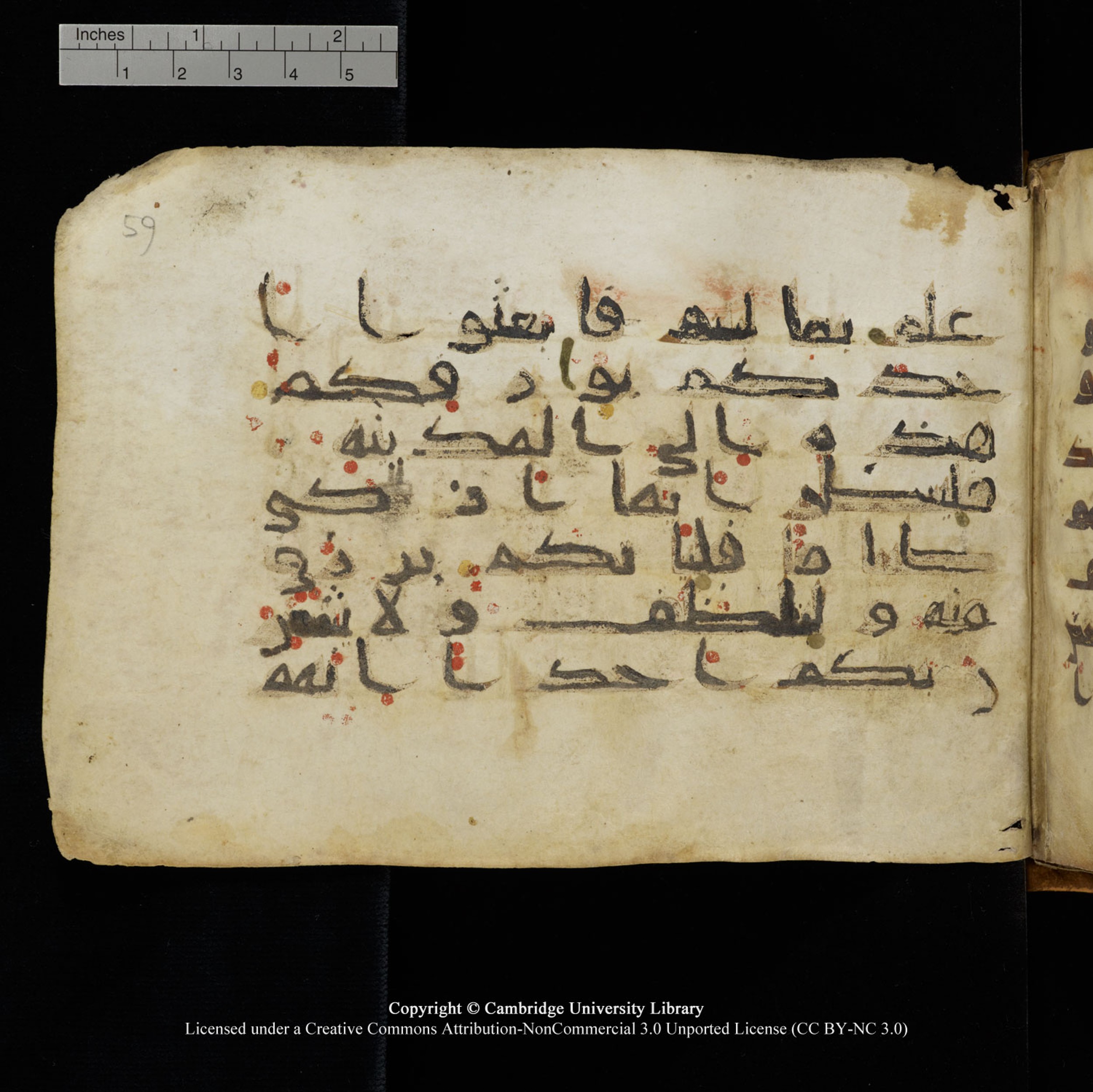 Cambridge University Library, MS Add.1132 (Scan 1), in Kūfī D.I script, showing Surah 18:20 from 9th or 10th Century AD found in Sinai Peninsula, currently housed at Cambridge University Library, Cambridge, UK