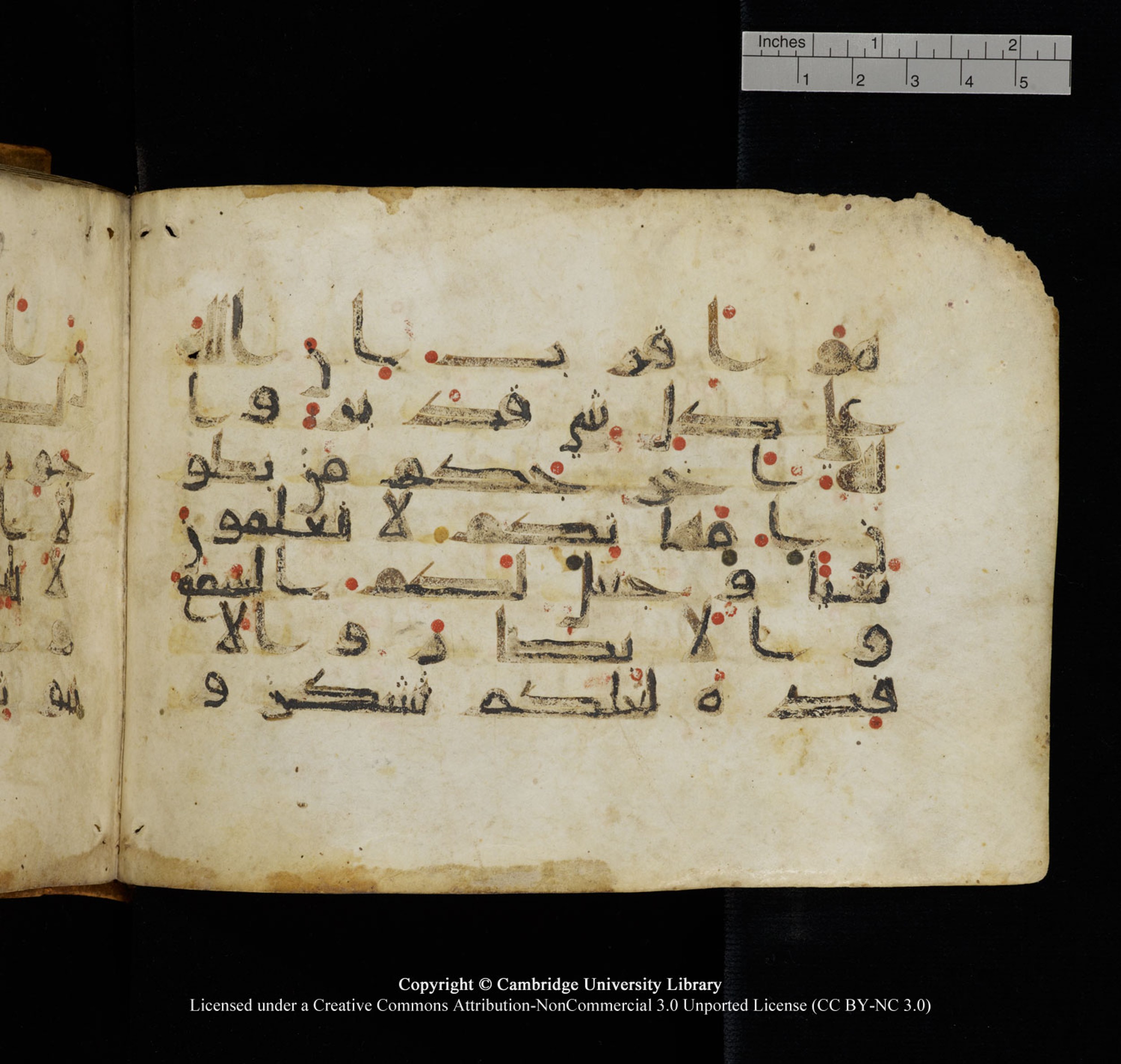 Cambridge University Library, MS Add.1132 (Scan 2), in Kūfī D.I script, showing Surah 16:77 from 9th or 10th Century AD found in Sinai Peninsula, currently housed at Cambridge University Library, Cambridge, UK