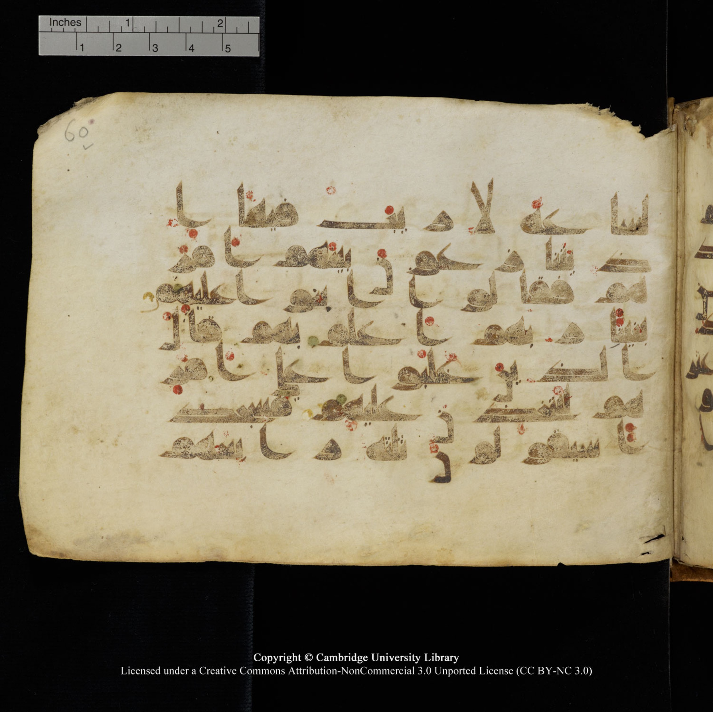 Cambridge University Library, MS Add.1132 (Scan 2), in Kūfī D.I script, showing Surah 18:21 from 9th or 10th Century AD found in Sinai Peninsula, currently housed at Cambridge University Library, Cambridge, UK