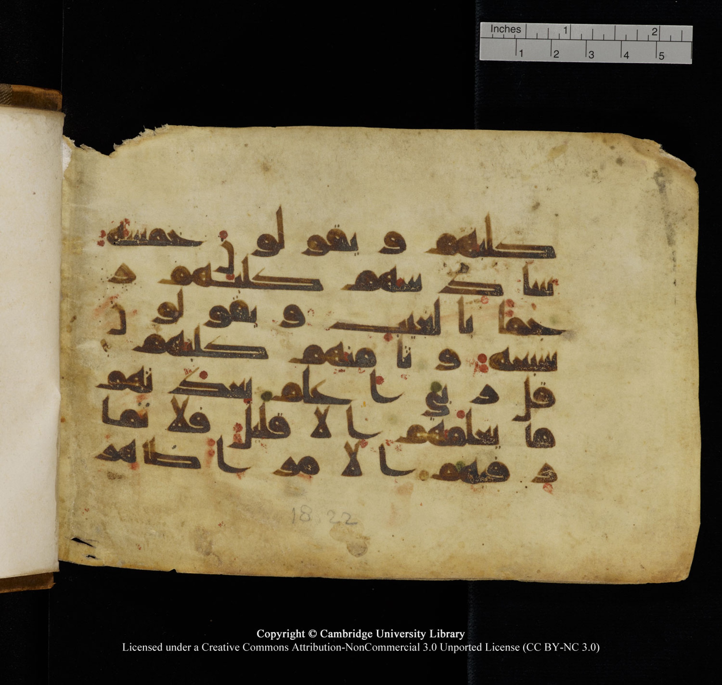 Cambridge University Library, MS Add.1132 (Scan 2), in Kūfī D.I script, showing Surah 18:22 from 9th or 10th Century AD found in Sinai Peninsula, currently housed at Cambridge University Library, Cambridge, UK