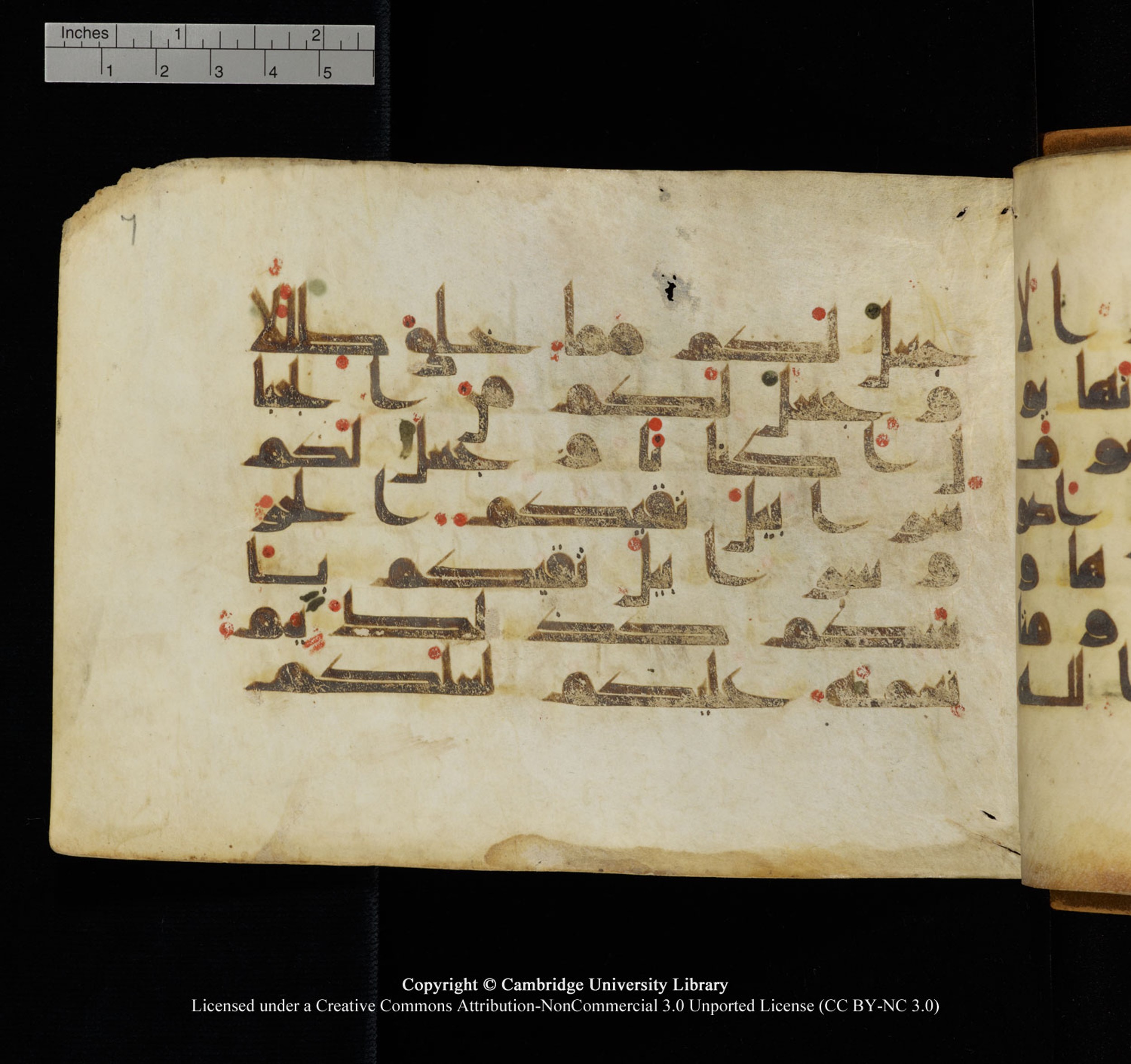 Cambridge University Library, MS Add.1132 (Scan 2), in Kūfī D.I script, showing Surah 16:81 from 9th or 10th Century AD found in Sinai Peninsula, currently housed at Cambridge University Library, Cambridge, UK
