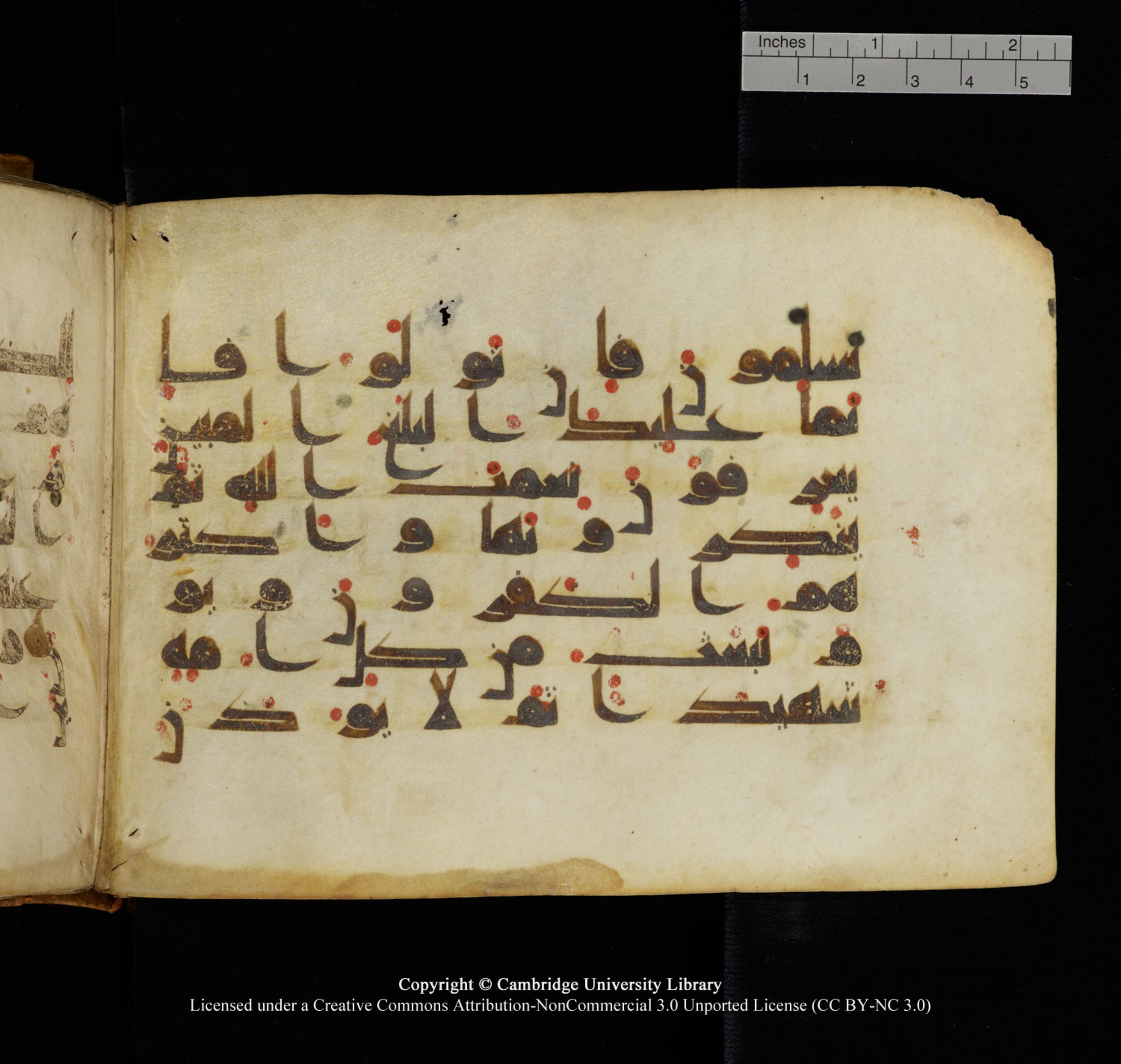 Cambridge University Library, MS Add.1132, in Kūfī D.I script, showing Surah 16:82 from 9th or 10th Century AD found in Sinai Peninsula, currently housed at Cambridge University Library, Cambridge, UK