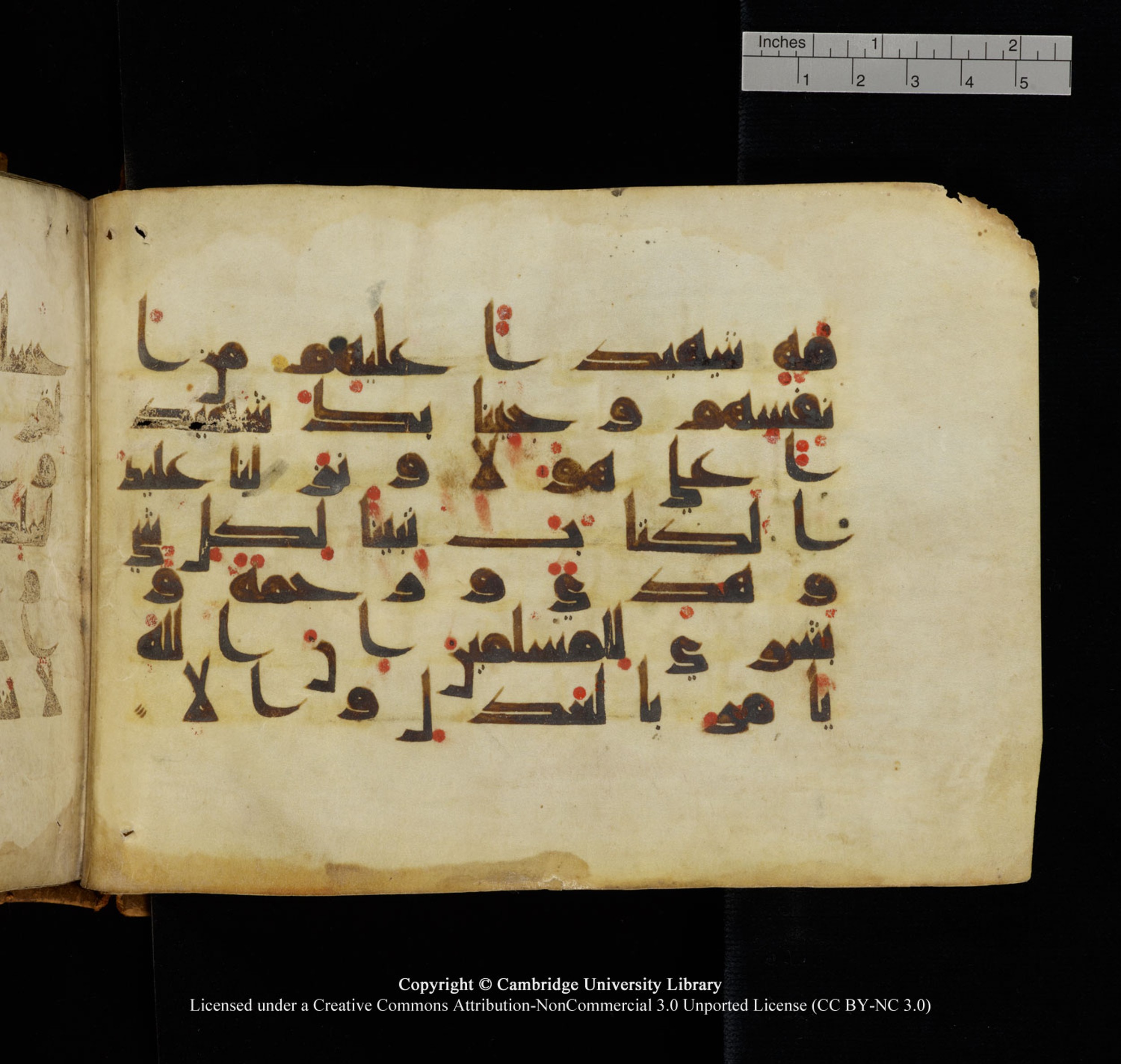 Cambridge University Library, MS Add.1132 (Scan 2), in Kūfī D.I script, showing Surah 16:89 from 9th or 10th Century AD found in Sinai Peninsula, currently housed at Cambridge University Library, Cambridge, UK