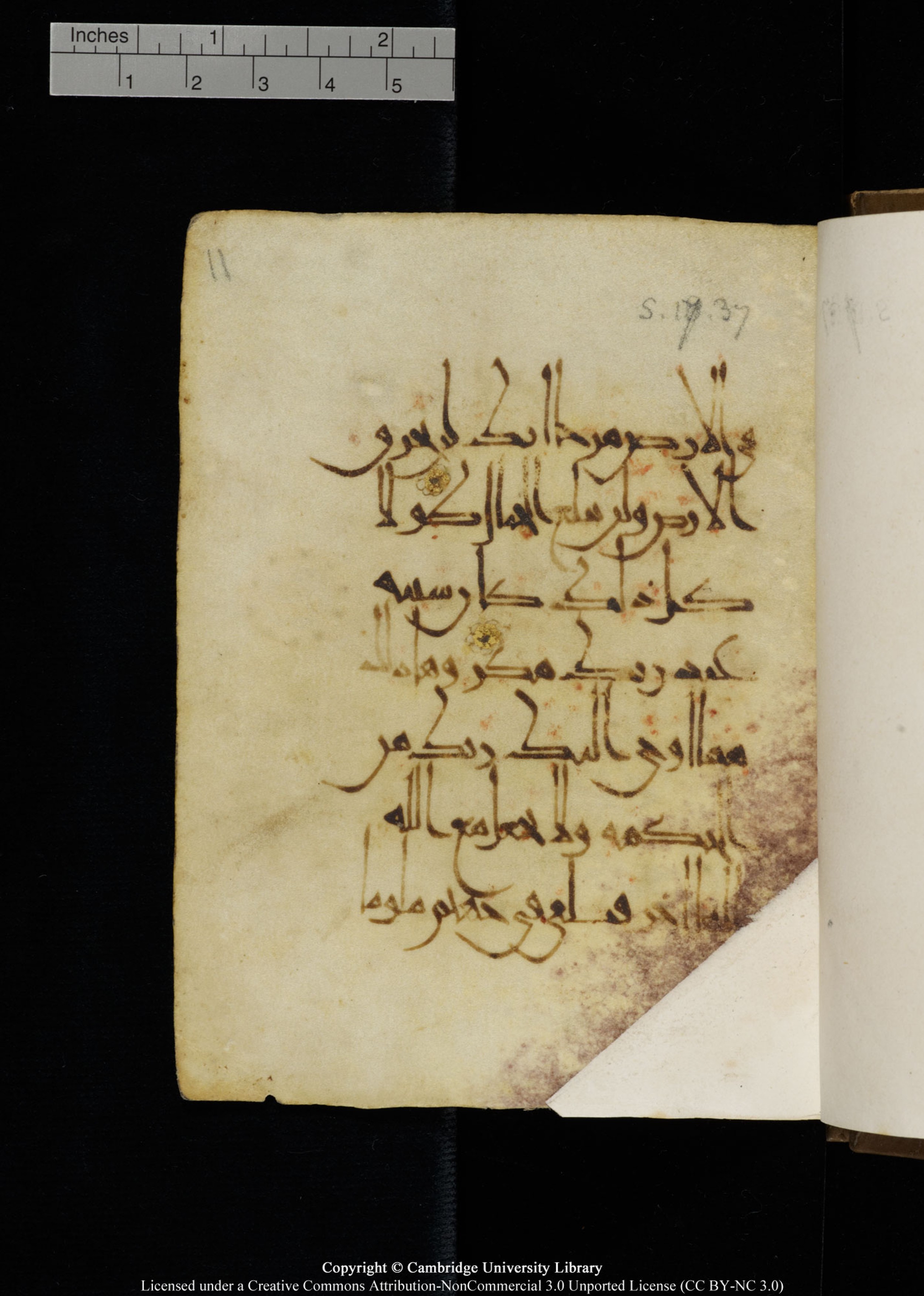 Cambridge, Cambridge University Library, MS Add.1134 (Scan 1), in maġribī script, showing Surah 17:39 from 10th Century AD found in Sinai Peninsula, currently housed at Cambridge University Library, Cambridge