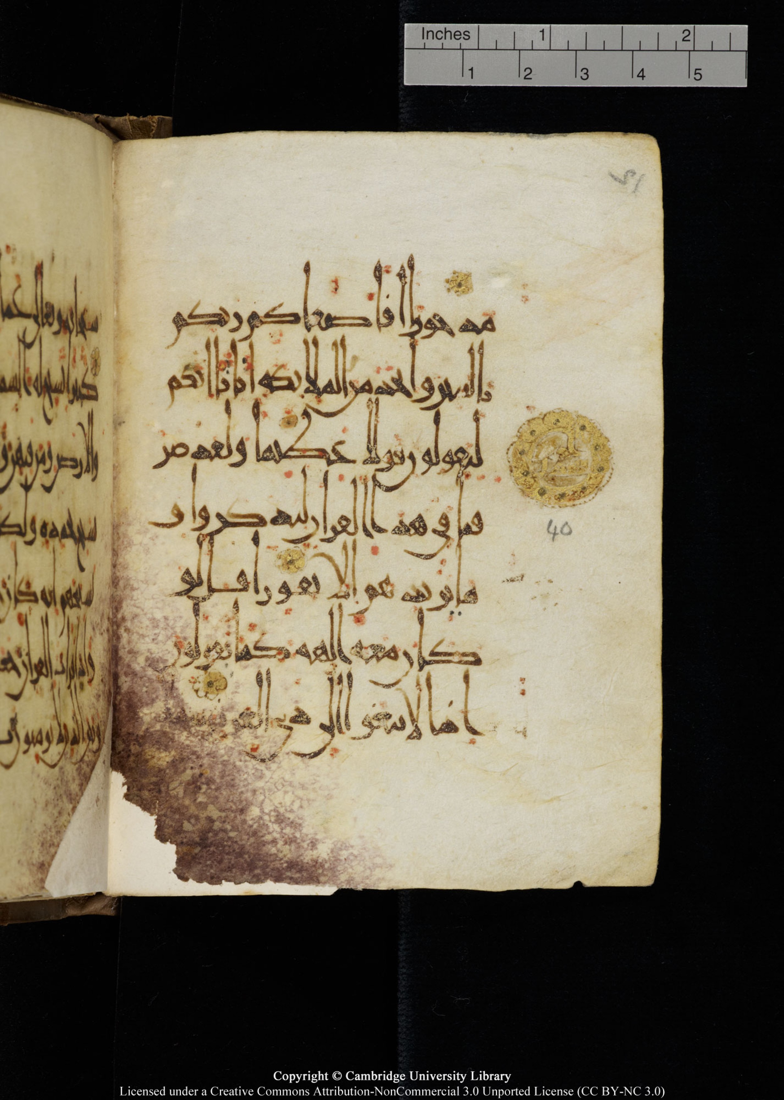Cambridge, Cambridge University Library, MS Add.1134 (Scan 2), in maġribī script, showing Surah 17:39 from 10th Century AD found in Sinai Peninsula, currently housed at Cambridge University Library, Cambridge