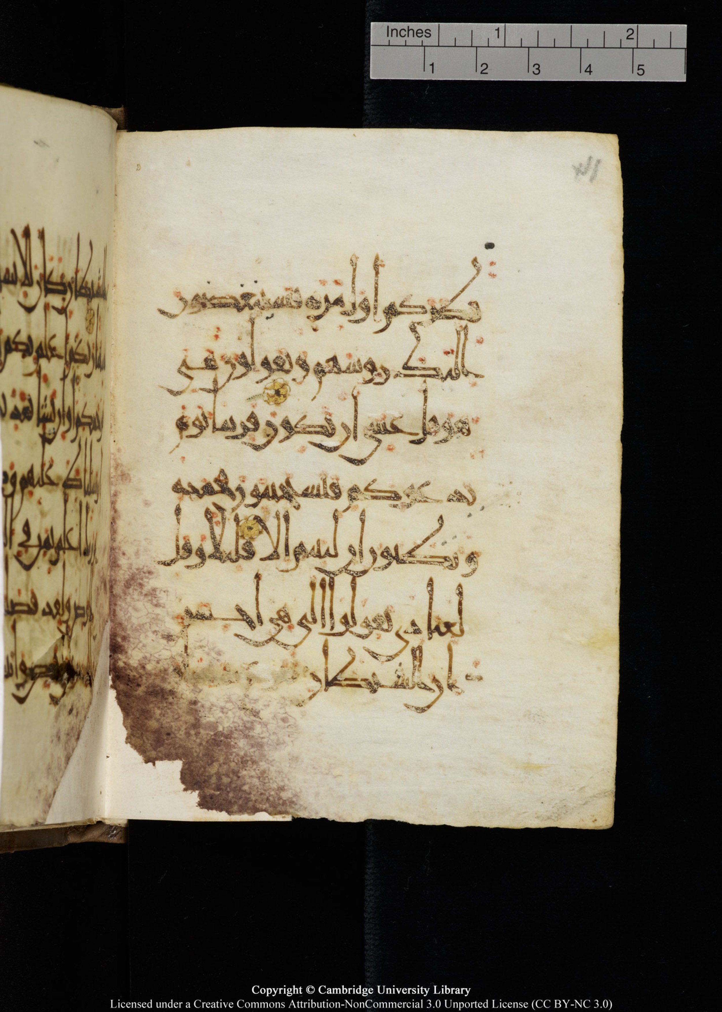 Cambridge, Cambridge University Library, MS Add.1134, in maġribī script, showing Surah 17:52 from 10th Century AD found in Sinai Peninsula, currently housed at Cambridge University Library, Cambridge