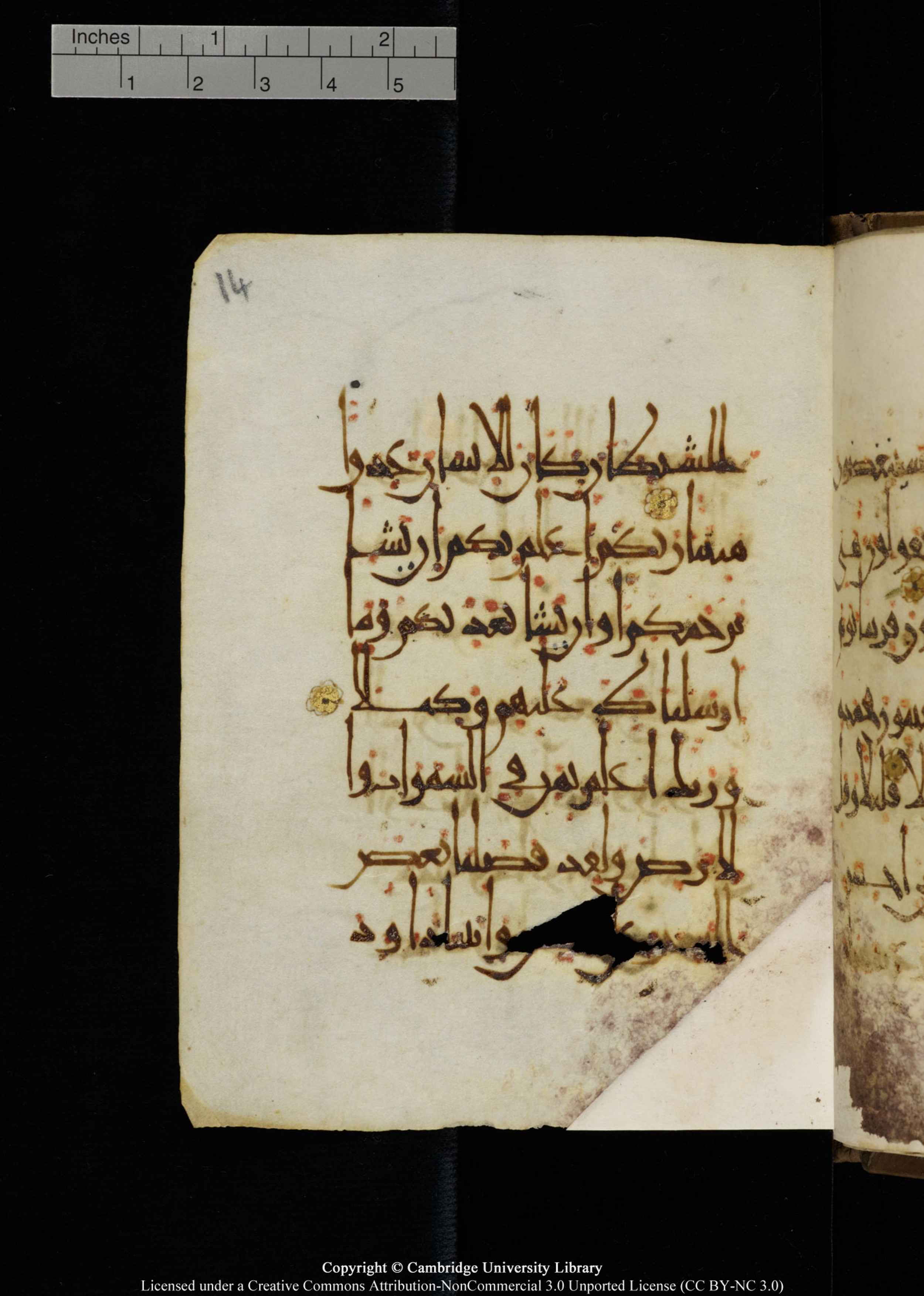 Cambridge, Cambridge University Library, MS Add.1134 (Scan 2), in maġribī script, showing Surah 17:53 from 10th Century AD found in Sinai Peninsula, currently housed at Cambridge University Library, Cambridge