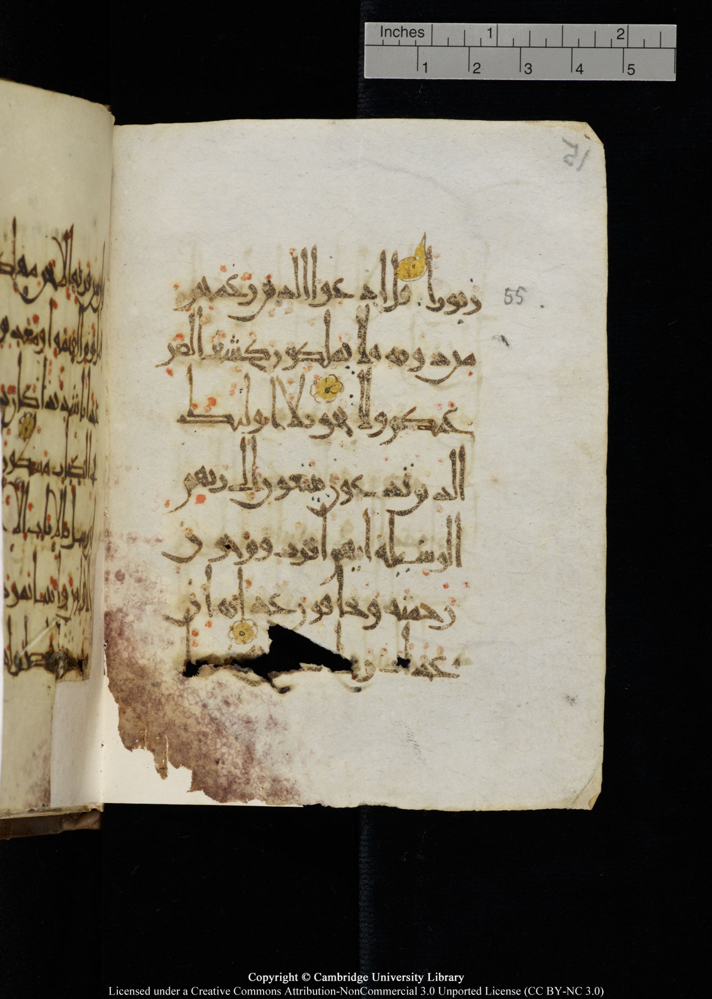 Cambridge, Cambridge University Library, MS Add.1134, in maġribī script, showing Surah 17:56 from 10th Century AD found in Sinai Peninsula, currently housed at Cambridge University Library, Cambridge