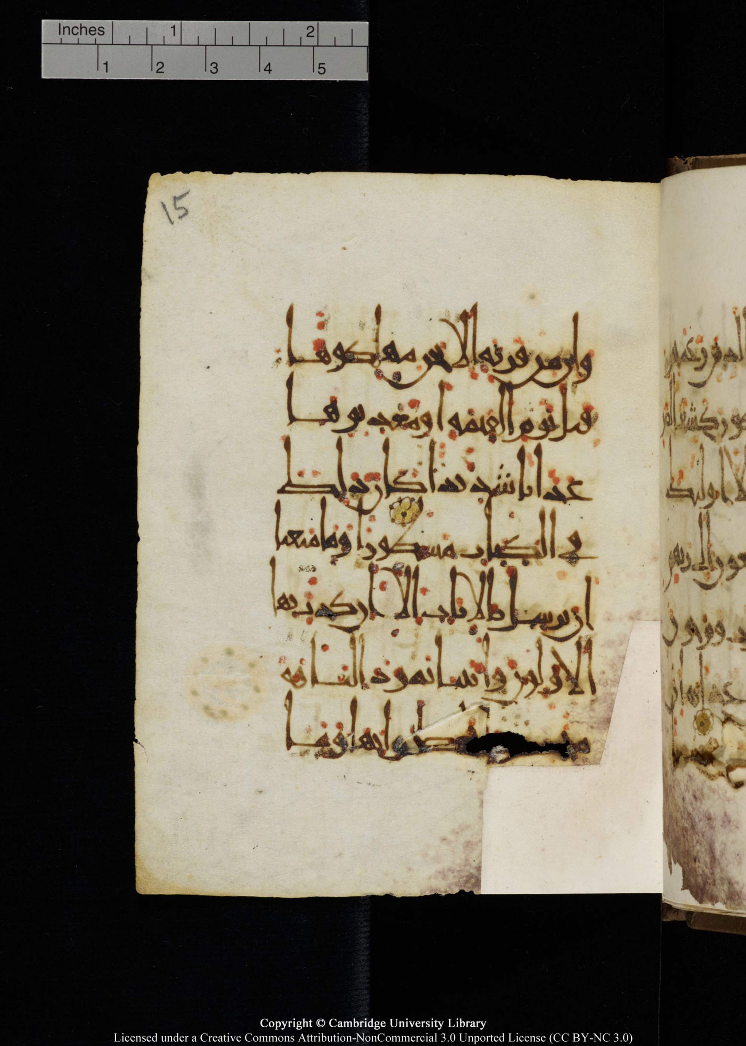 Cambridge, Cambridge University Library, MS Add.1134 (Scan 1), in maġribī script, showing Surah 17:59 from 10th Century AD found in Sinai Peninsula, currently housed at Cambridge University Library, Cambridge