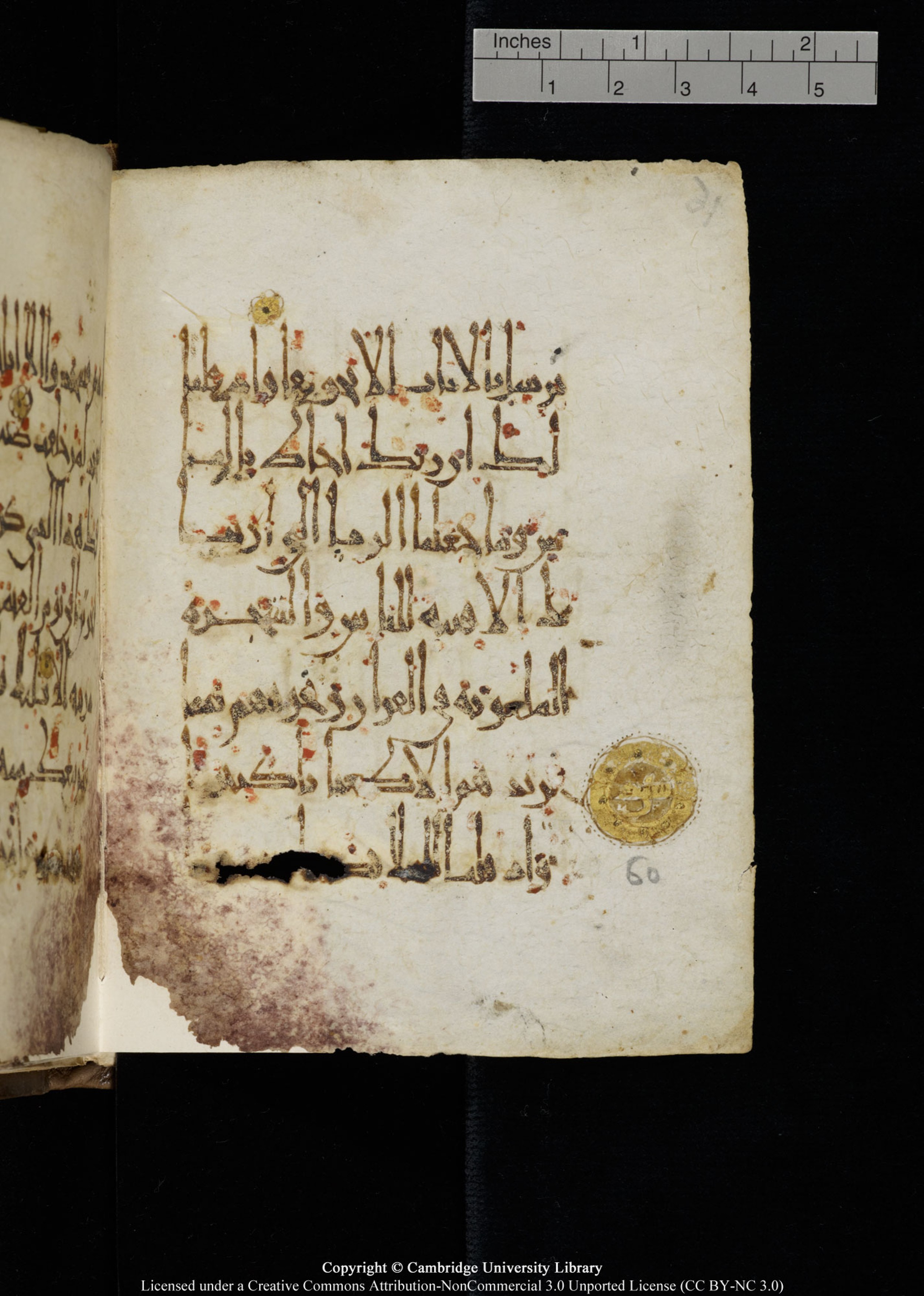 Cambridge, Cambridge University Library, MS Add.1134 (Scan 2), in maġribī script, showing Surah 17:59 from 10th Century AD found in Sinai Peninsula, currently housed at Cambridge University Library, Cambridge
