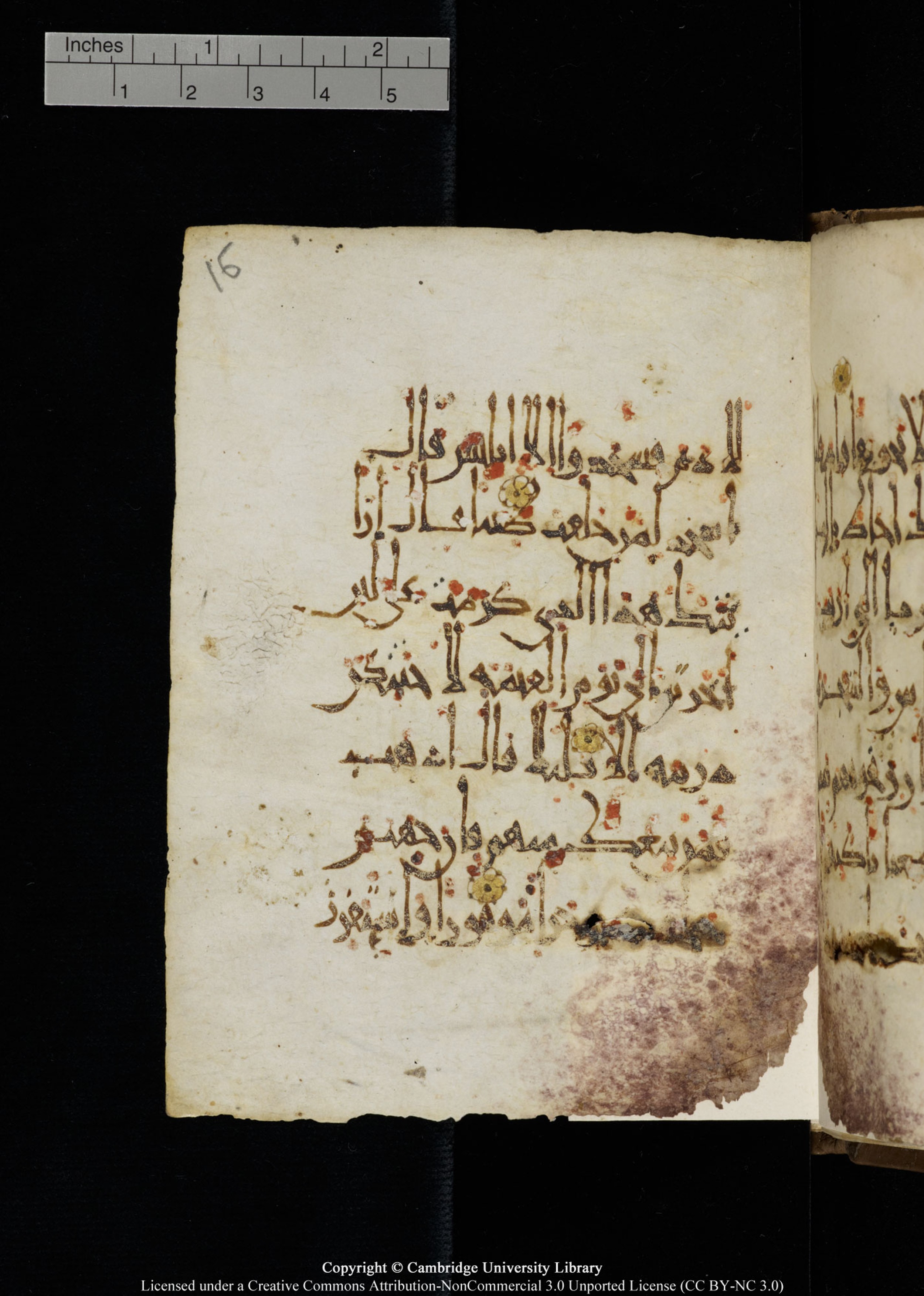 Cambridge, Cambridge University Library, MS Add.1134 (Scan 1), in maġribī script, showing Surah 17:64 from 10th Century AD found in Sinai Peninsula, currently housed at Cambridge University Library, Cambridge