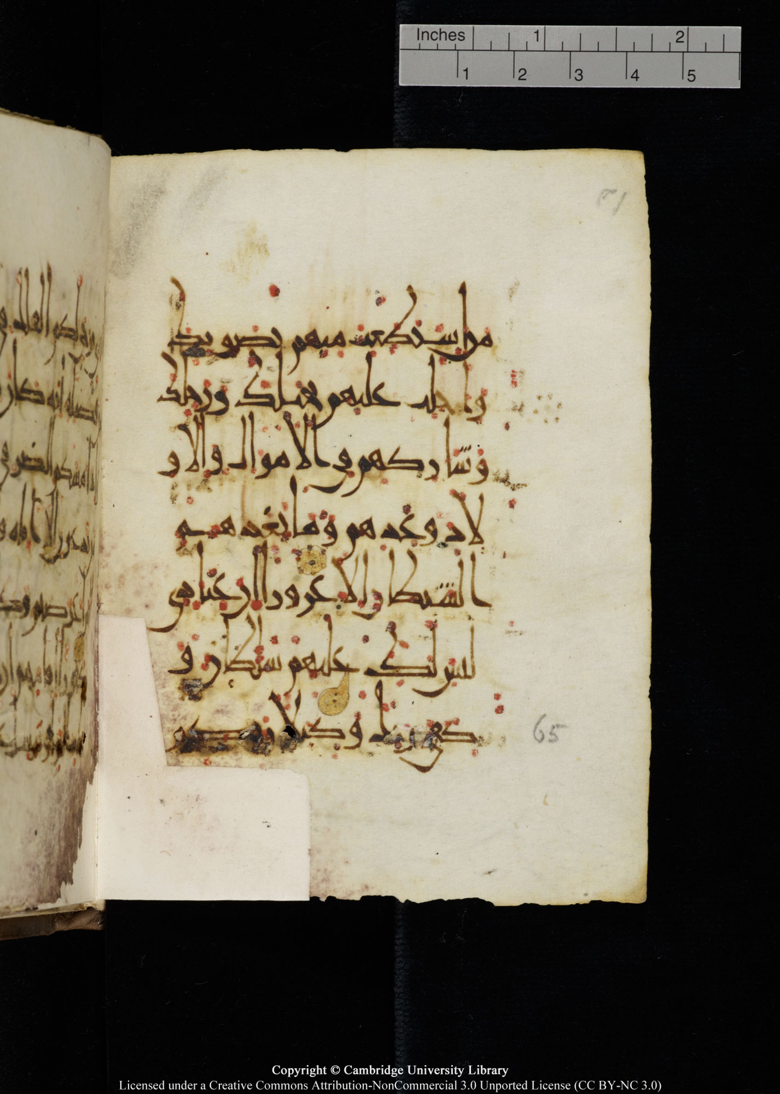 Cambridge, Cambridge University Library, MS Add.1134 (Scan 2), in maġribī script, showing Surah 17:64 from 10th Century AD found in Sinai Peninsula, currently housed at Cambridge University Library, Cambridge