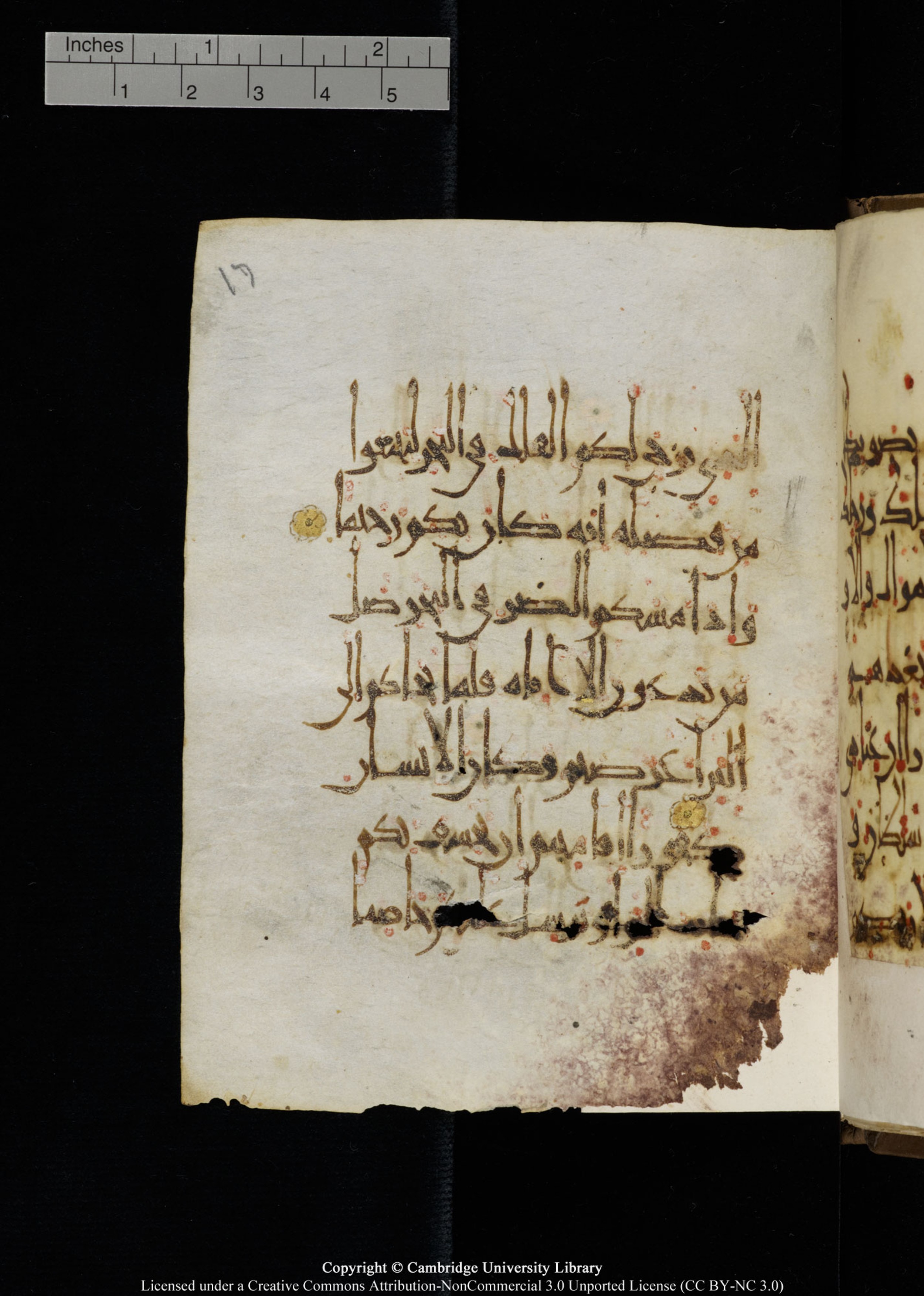 Cambridge, Cambridge University Library, MS Add.1134, in maġribī script, showing Surah 17:67 from 10th Century AD found in Sinai Peninsula, currently housed at Cambridge University Library, Cambridge