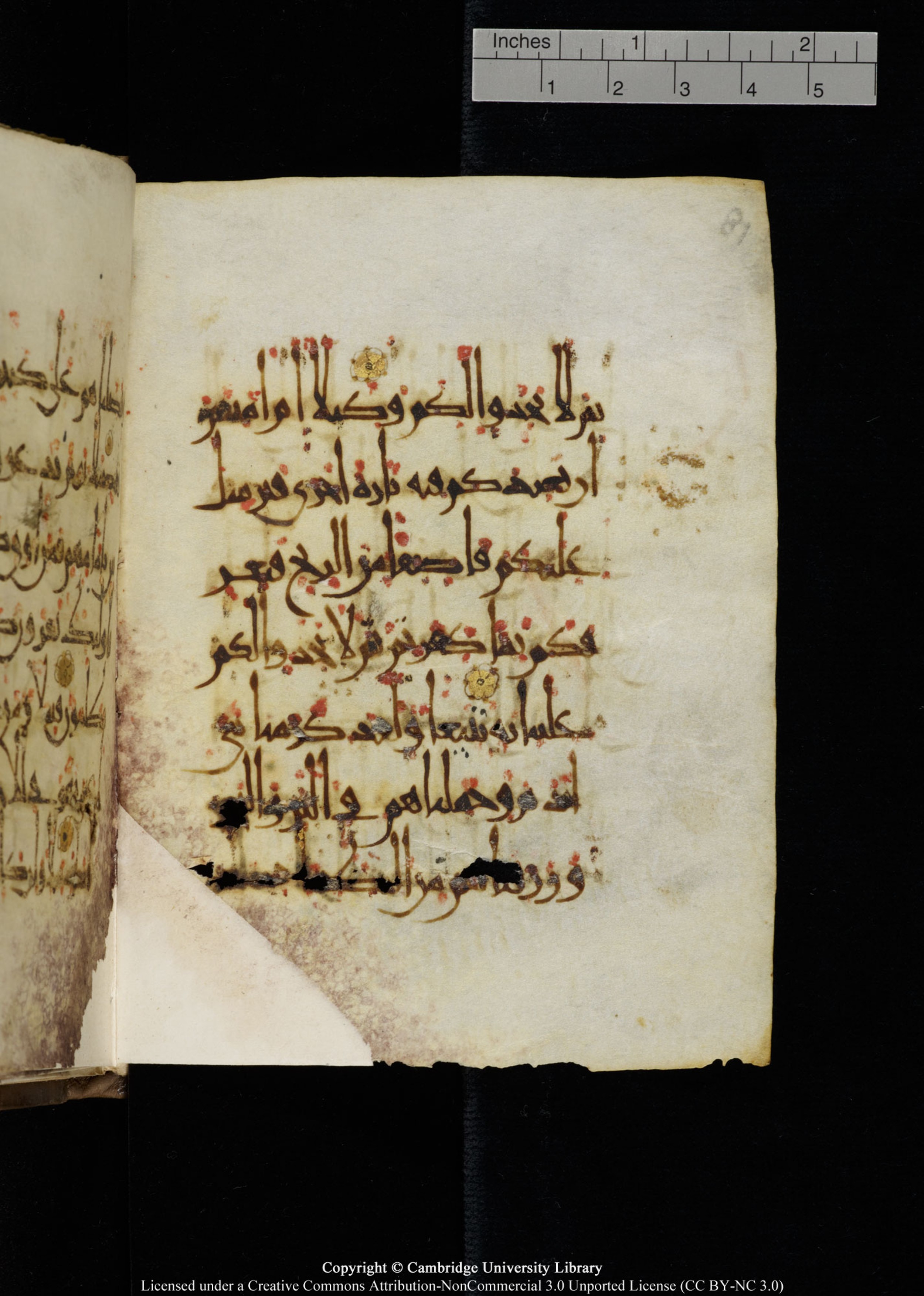 Cambridge, Cambridge University Library, MS Add.1134 (Scan 2), in maġribī script, showing Surah 17:68 from 10th Century AD found in Sinai Peninsula, currently housed at Cambridge University Library, Cambridge