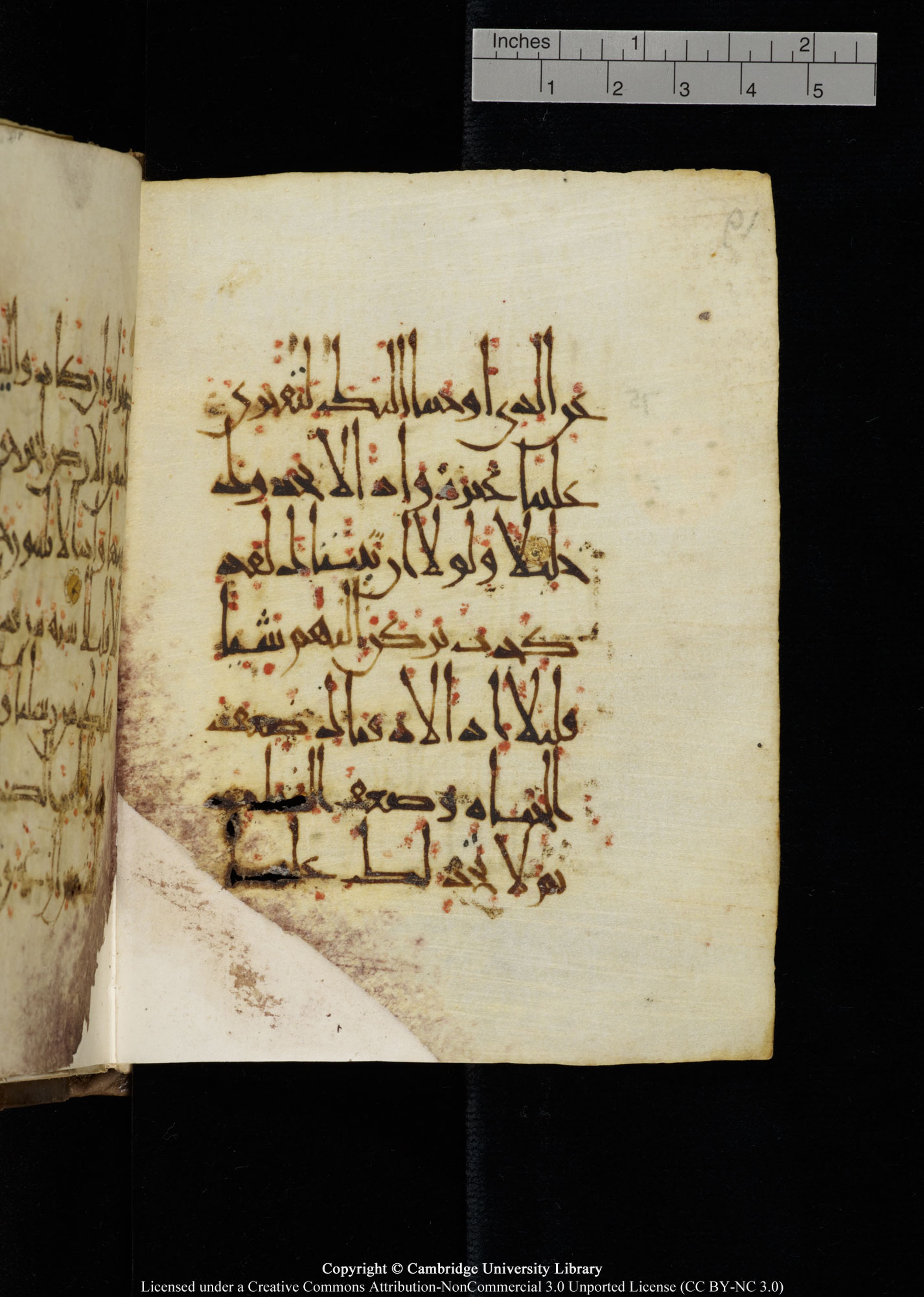 Cambridge, Cambridge University Library, MS Add.1134 (Scan 2), in maġribī script, showing Surah 17:73 from 10th Century AD found in Sinai Peninsula, currently housed at Cambridge University Library, Cambridge