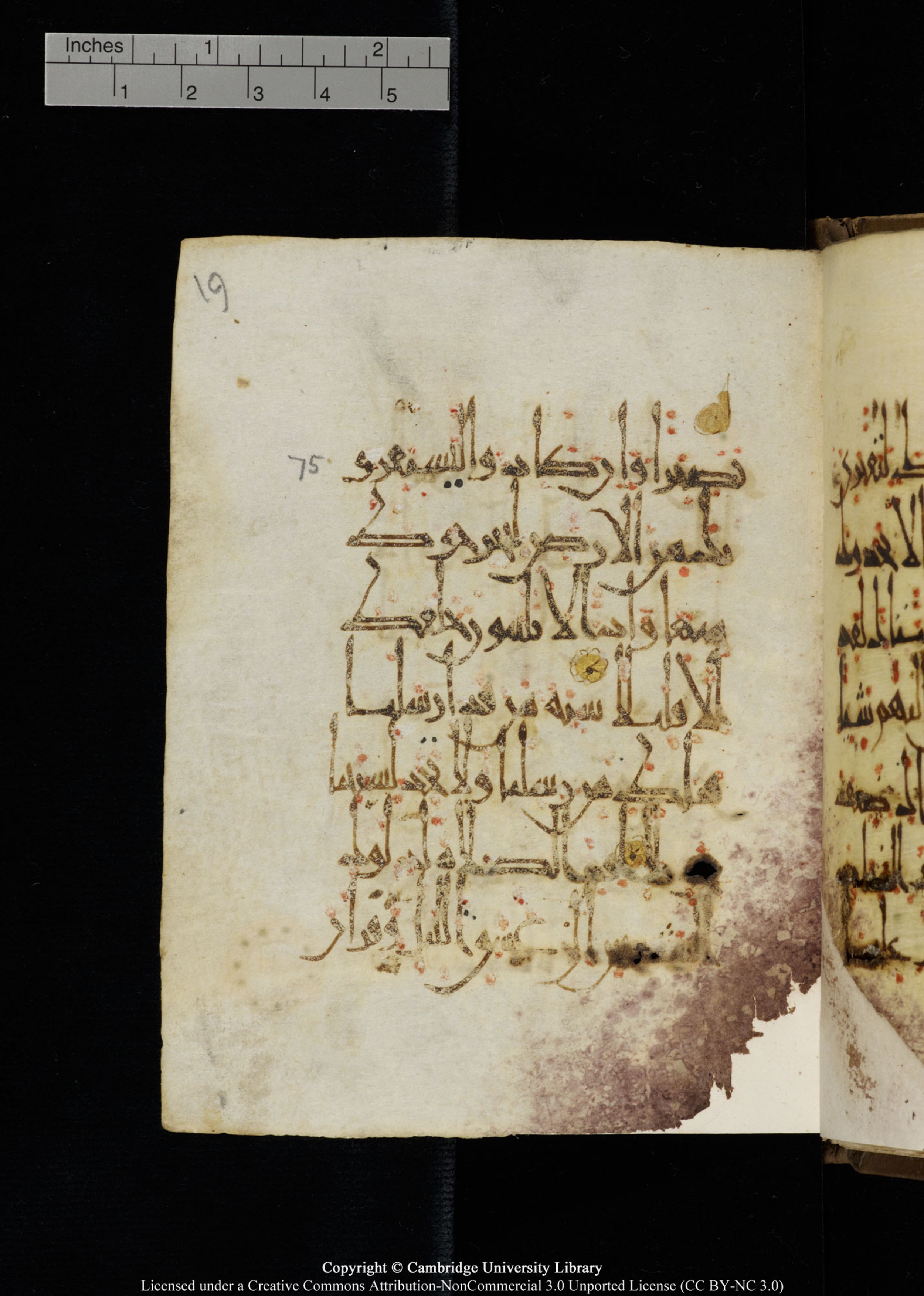 Cambridge, Cambridge University Library, MS Add.1134, in maġribī script, showing Surah 17:76 from 10th Century AD found in Sinai Peninsula, currently housed at Cambridge University Library, Cambridge