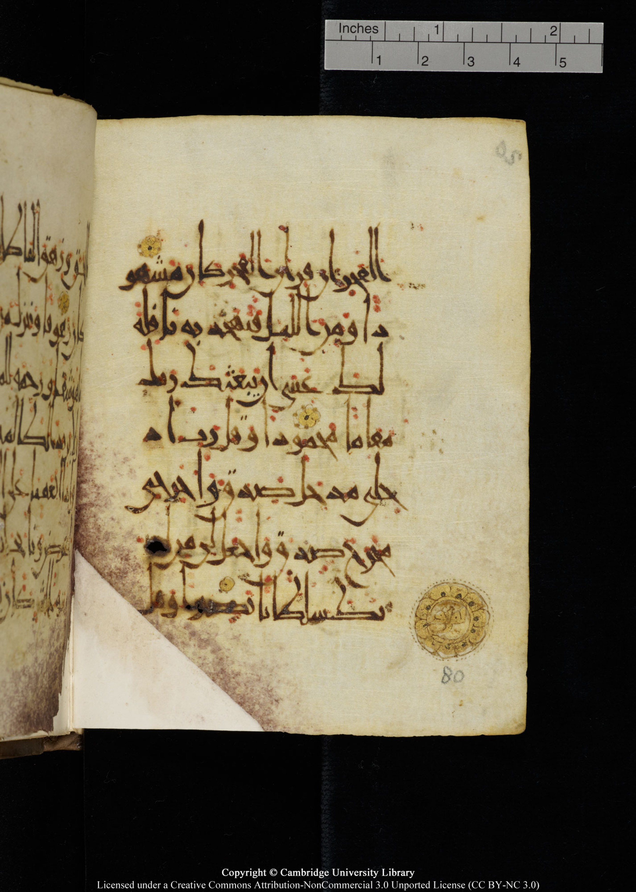 Cambridge, Cambridge University Library, MS Add.1134, in maġribī script, showing Surah 17:79 from 10th Century AD found in Sinai Peninsula, currently housed at Cambridge University Library, Cambridge