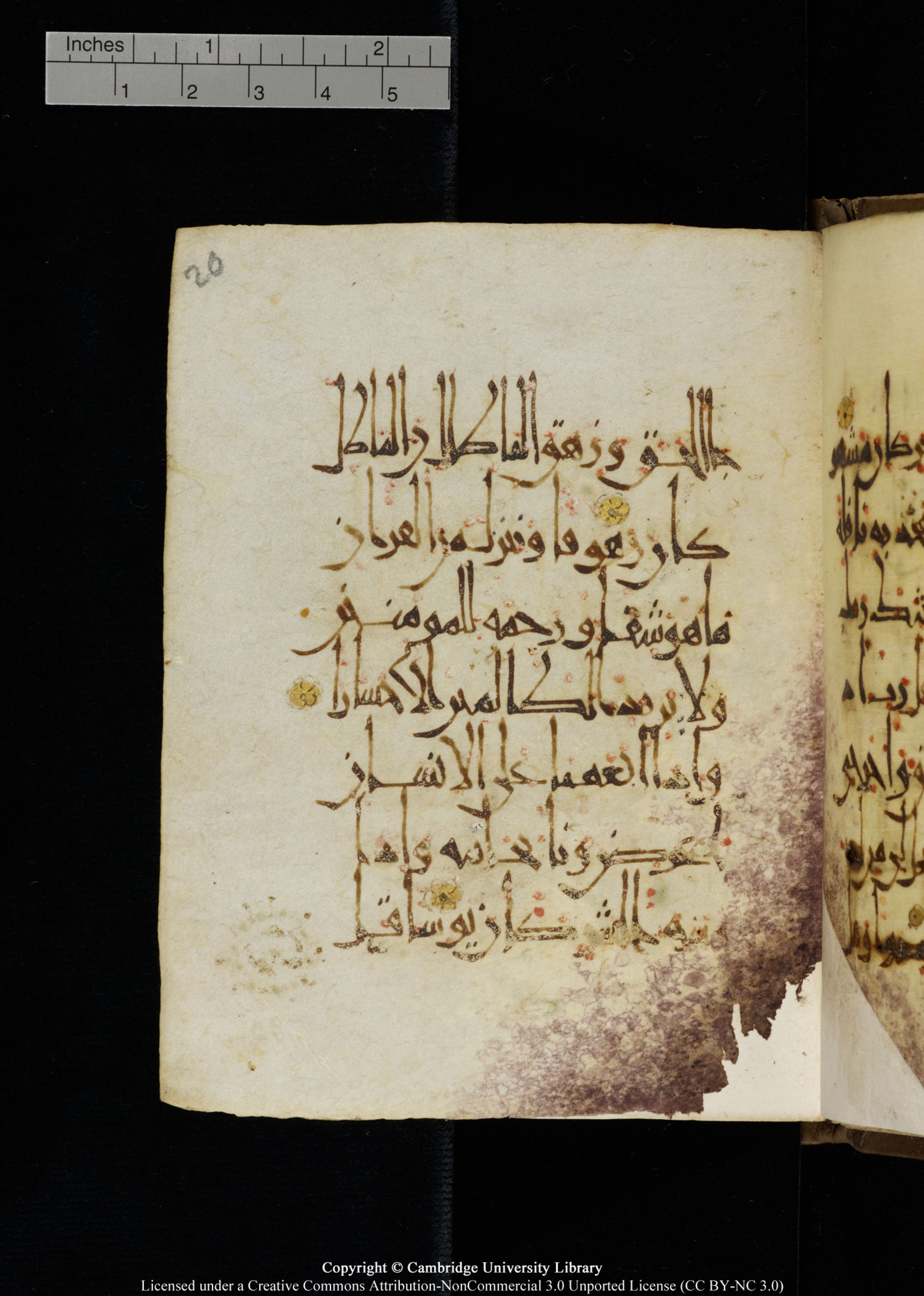 Cambridge, Cambridge University Library, MS Add.1134, in maġribī script, showing Surah 17:82 from 10th Century AD found in Sinai Peninsula, currently housed at Cambridge University Library, Cambridge