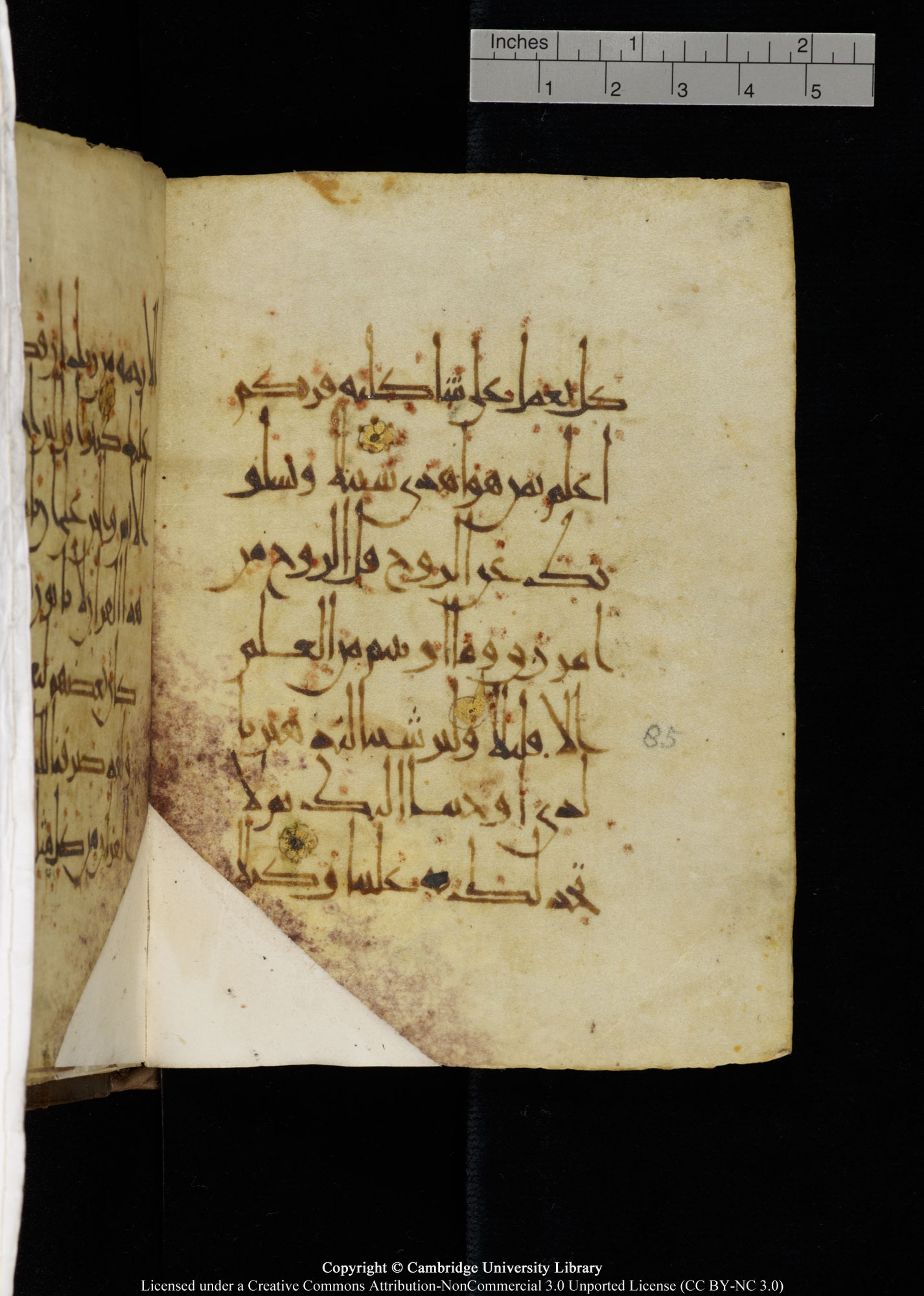 Cambridge, Cambridge University Library, MS Add.1134, in maġribī script, showing Surah 17:85 from 10th Century AD found in Sinai Peninsula, currently housed at Cambridge University Library, Cambridge