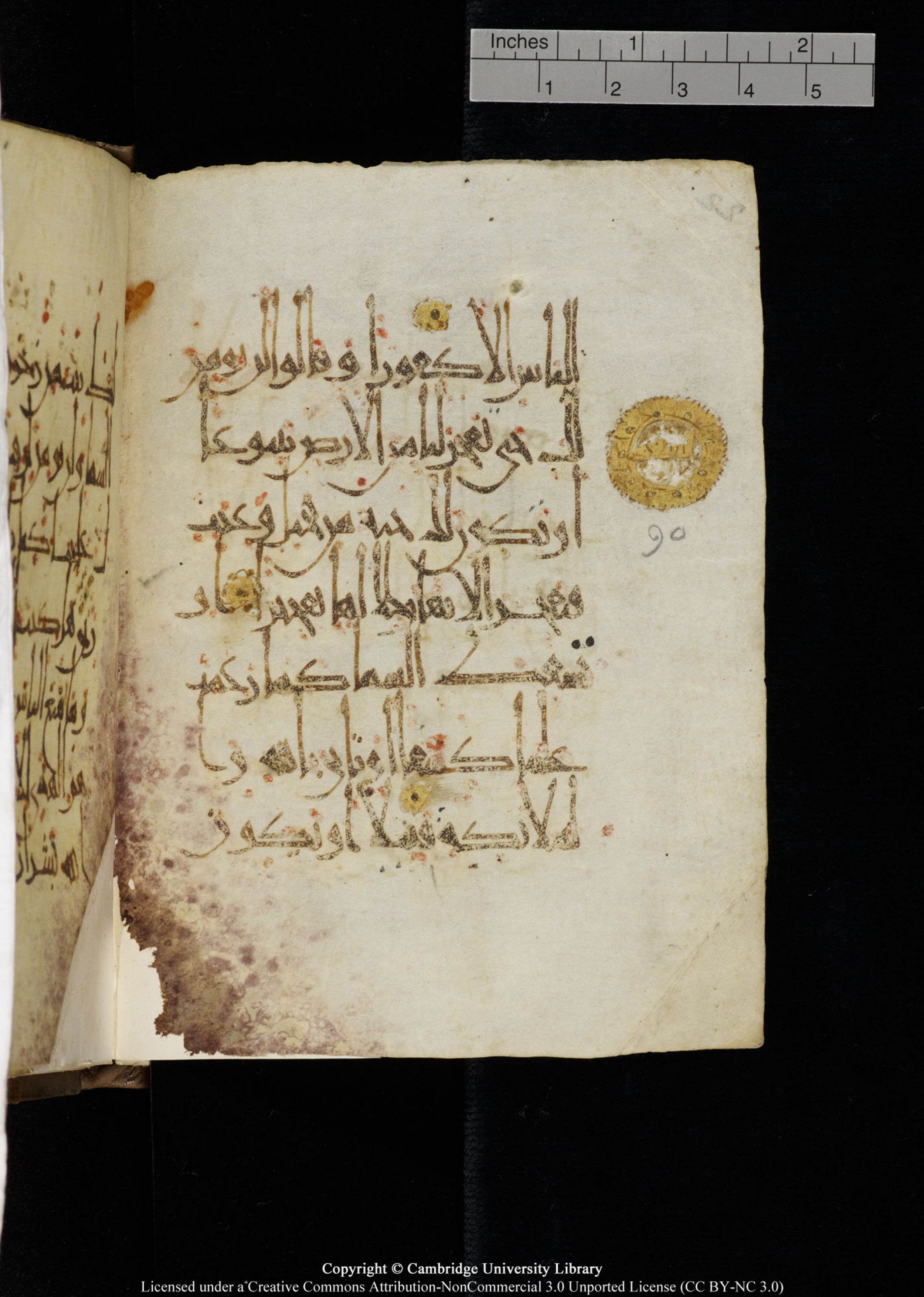 Cambridge, Cambridge University Library, MS Add.1134 (Scan 2), in maġribī script, showing Surah 17:89 from 10th Century AD found in Sinai Peninsula, currently housed at Cambridge University Library, Cambridge