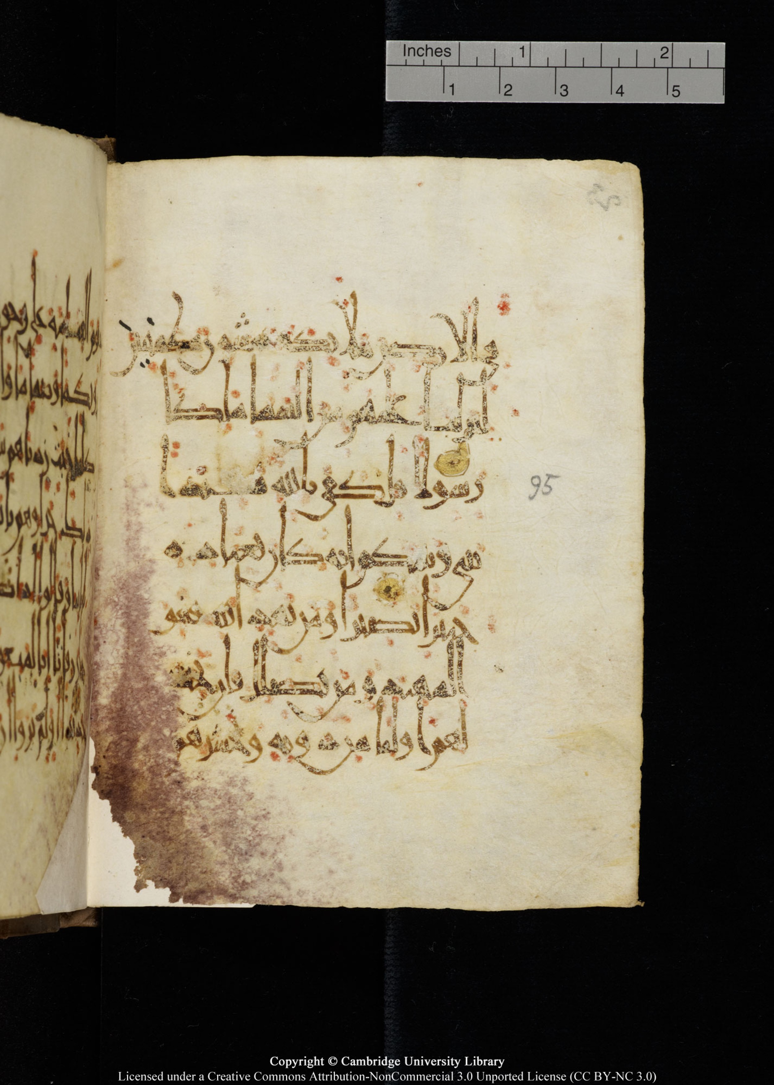 Cambridge, Cambridge University Library, MS Add.1134 (Scan 1), in maġribī script, showing Surah 17:97 from 10th Century AD found in Sinai Peninsula, currently housed at Cambridge University Library, Cambridge