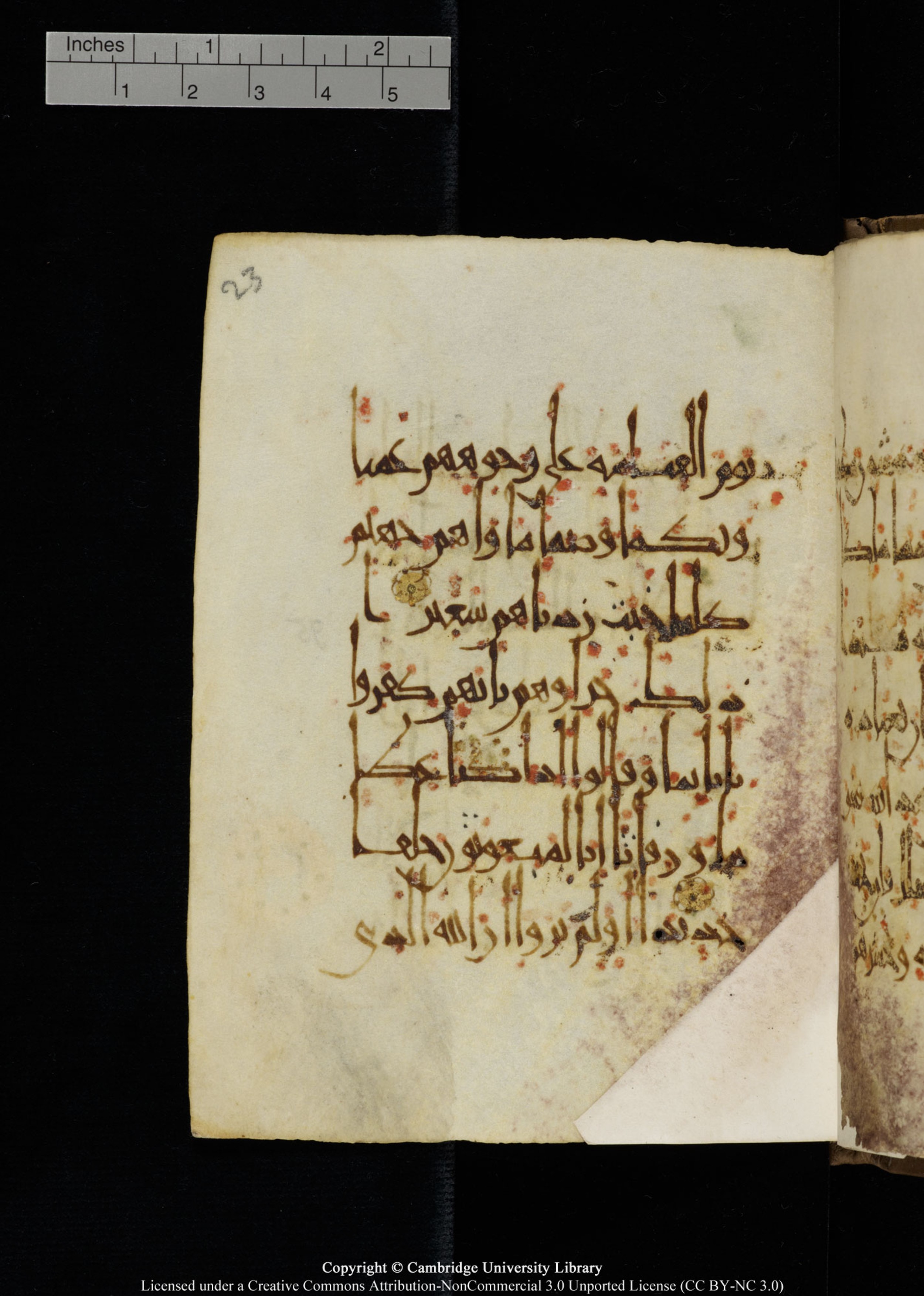 Cambridge, Cambridge University Library, MS Add.1134 (Scan 2), in maġribī script, showing Surah 17:97 from 10th Century AD found in Sinai Peninsula, currently housed at Cambridge University Library, Cambridge