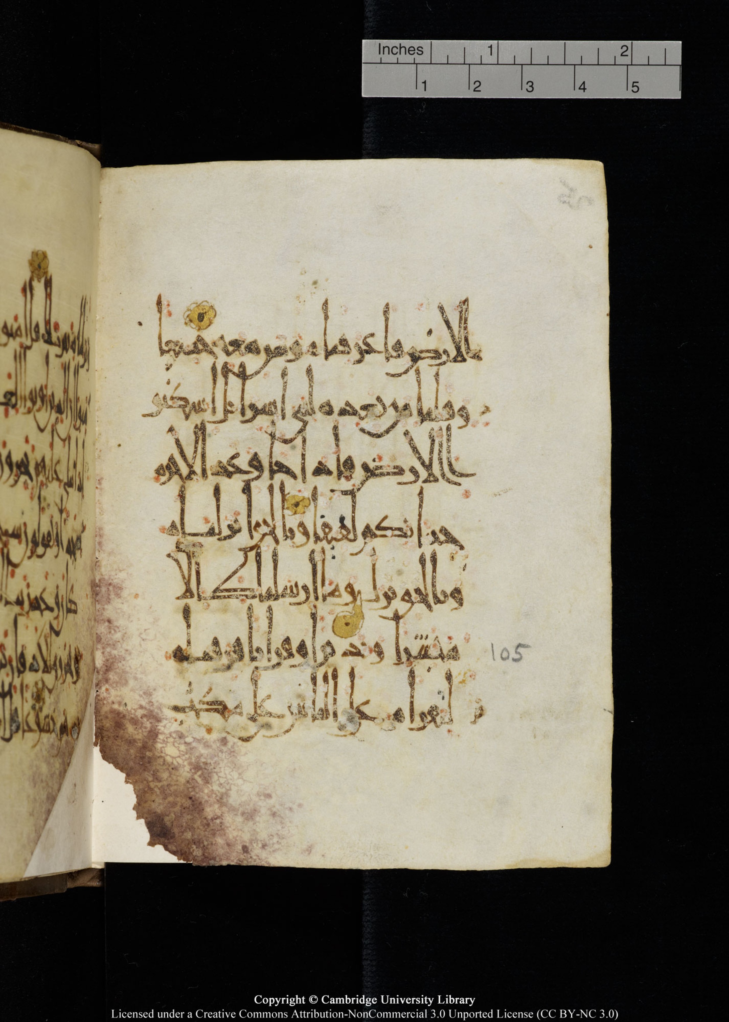 Cambridge, Cambridge University Library, MS Add.1134 (Scan 2), in maġribī script, showing Surah 17:103 from 10th Century AD found in Sinai Peninsula, currently housed at Cambridge University Library, Cambridge