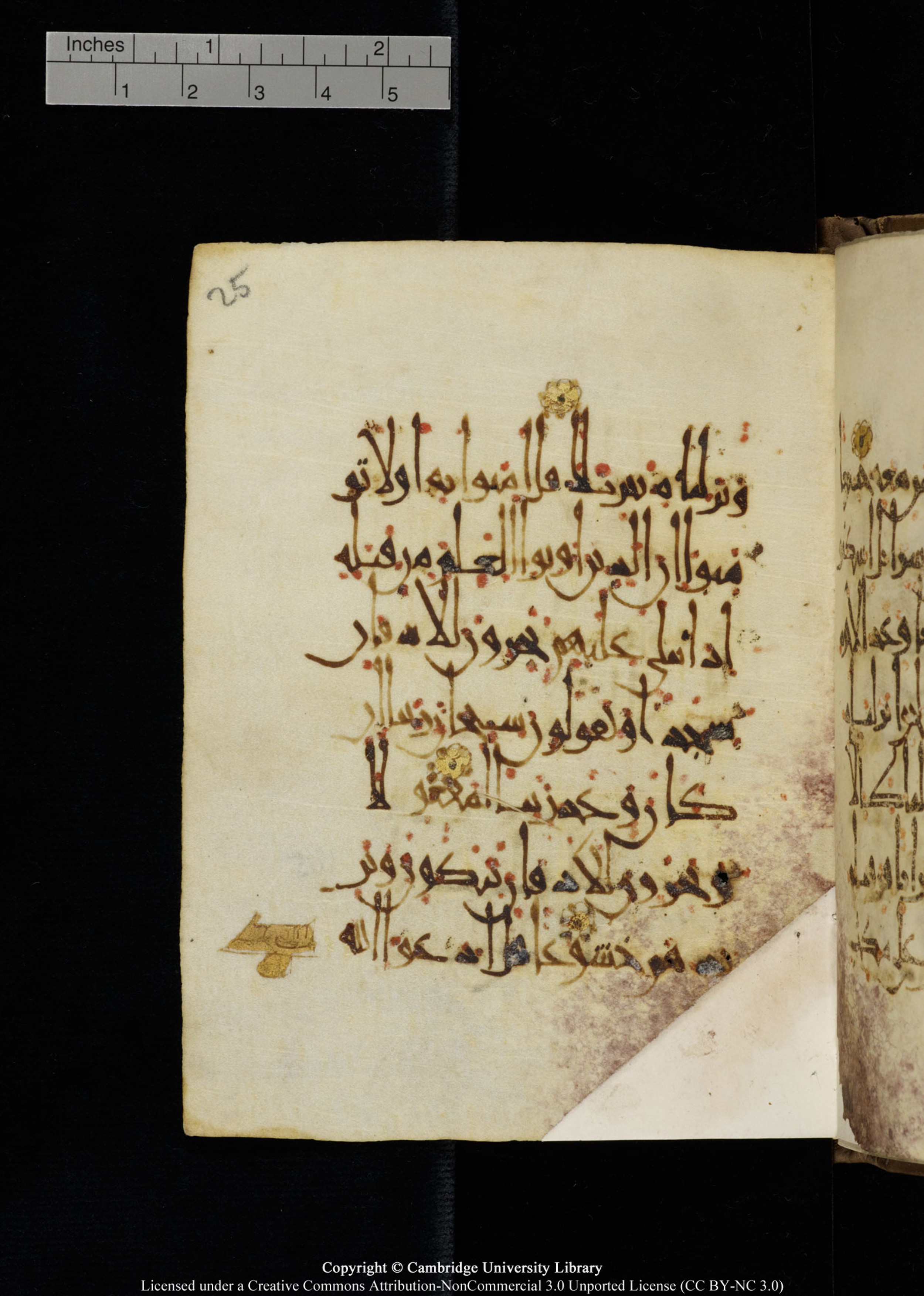 Cambridge, Cambridge University Library, MS Add.1134, in maġribī script, showing Surah 17:108 from 10th Century AD found in Sinai Peninsula, currently housed at Cambridge University Library, Cambridge