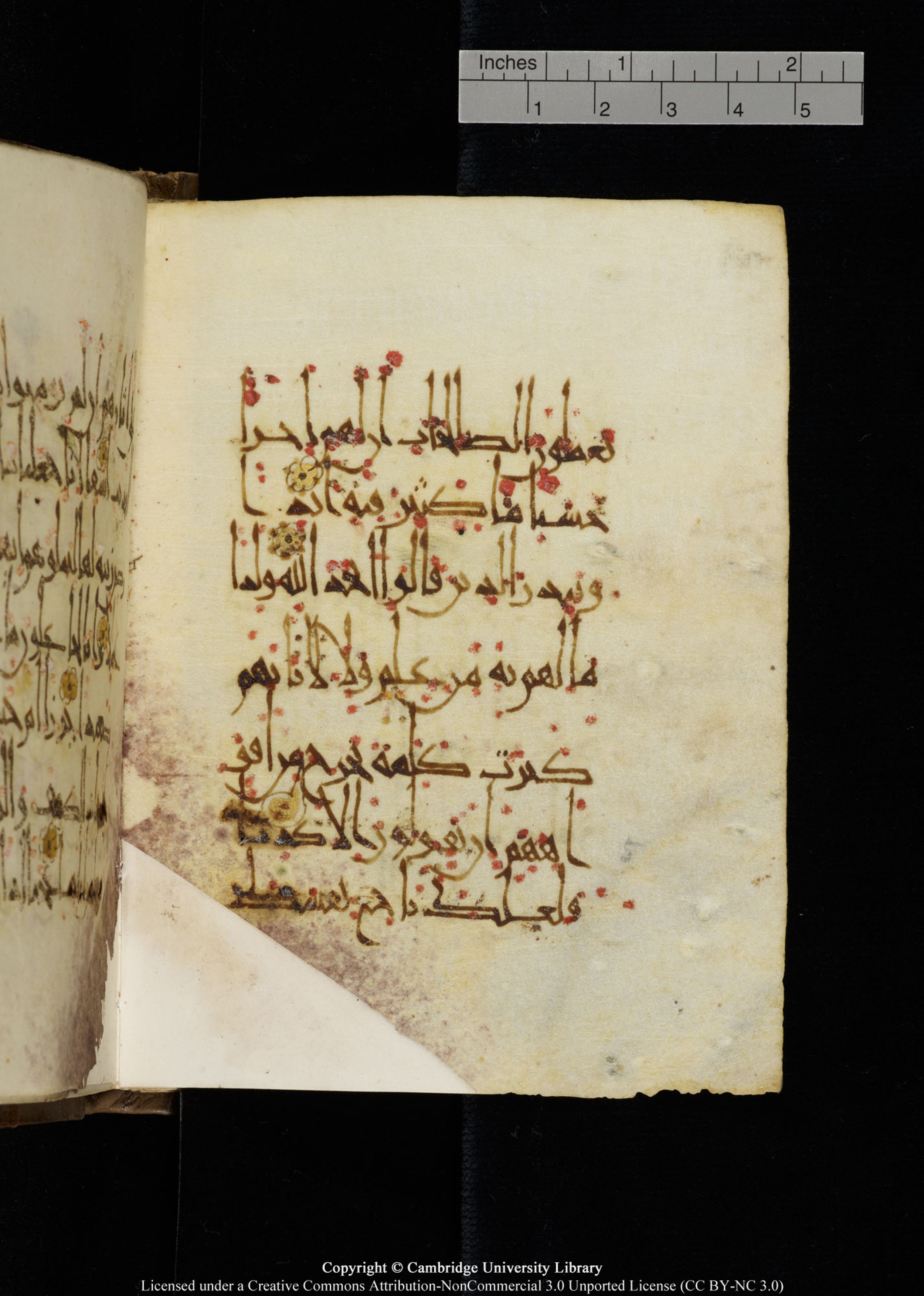 Cambridge, Cambridge University Library, MS Add.1134 (Scan 2), in maġribī script, showing Surah 18:2 from 10th Century AD found in Sinai Peninsula, currently housed at Cambridge University Library, Cambridge