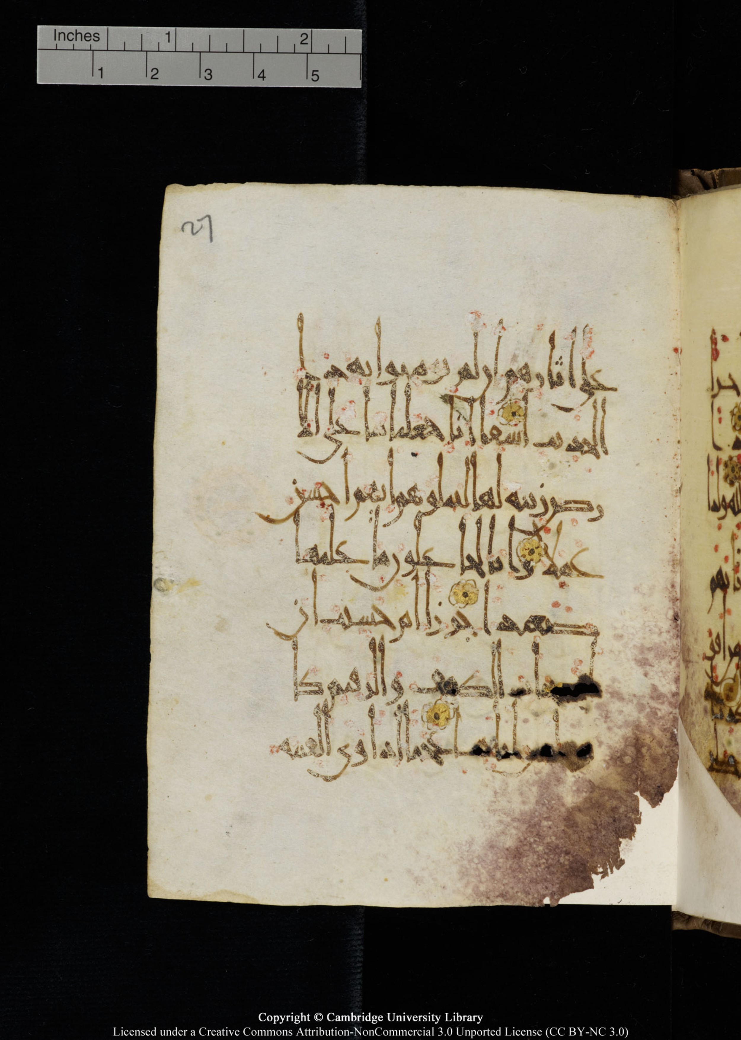Cambridge, Cambridge University Library, MS Add.1134 (Scan 2), in maġribī script, showing Surah 18:6 from 10th Century AD found in Sinai Peninsula, currently housed at Cambridge University Library, Cambridge