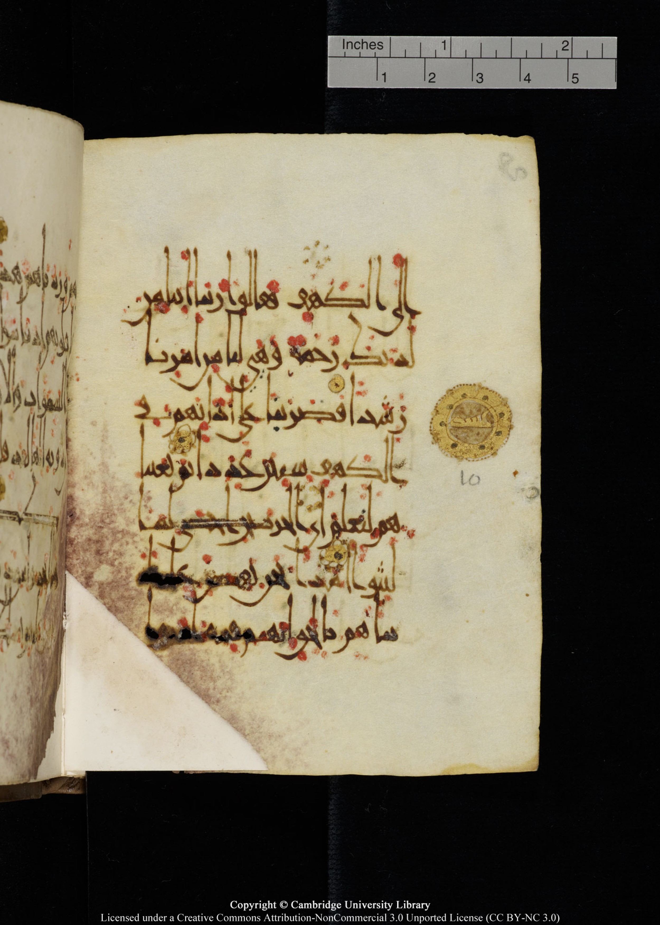 Cambridge, Cambridge University Library, MS Add.1134 (Scan 1), in maġribī script, showing Surah 18:13 from 10th Century AD found in Sinai Peninsula, currently housed at Cambridge University Library, Cambridge