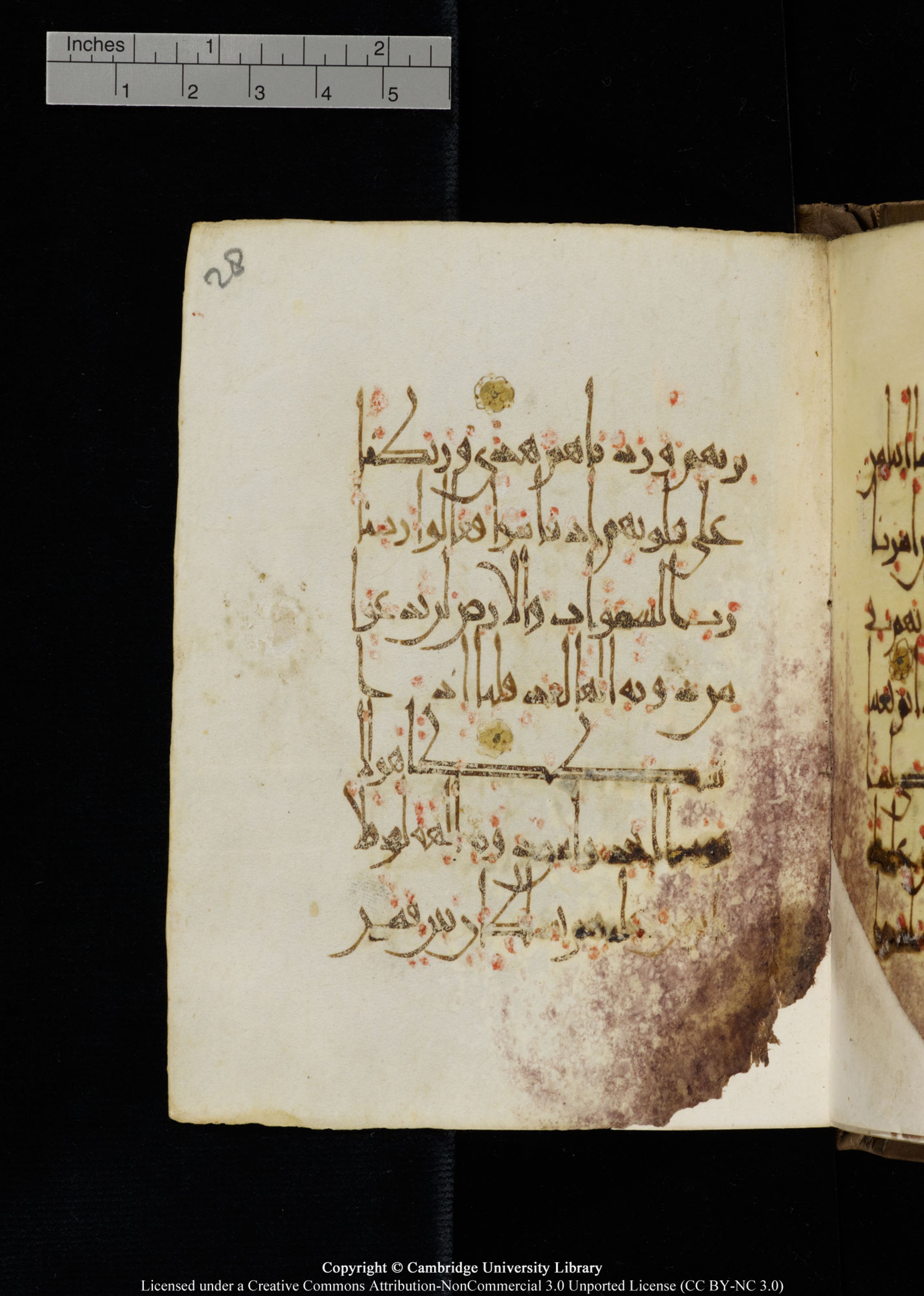 Cambridge, Cambridge University Library, MS Add.1134 (Scan 2), in maġribī script, showing Surah 18:13 from 10th Century AD found in Sinai Peninsula, currently housed at Cambridge University Library, Cambridge