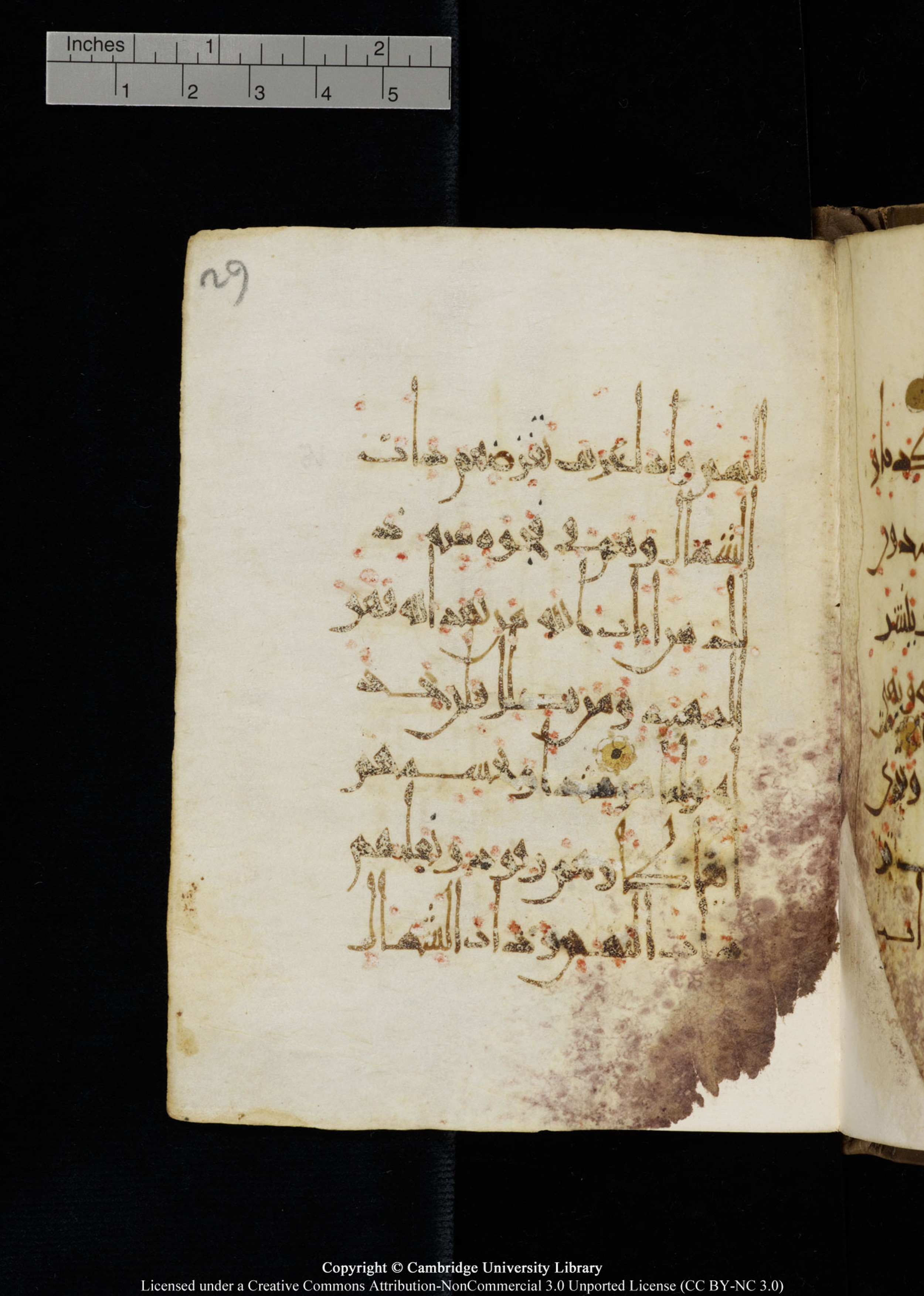 Cambridge, Cambridge University Library, MS Add.1134 (Scan 2), in maġribī script, showing Surah 18:17 from 10th Century AD found in Sinai Peninsula, currently housed at Cambridge University Library, Cambridge