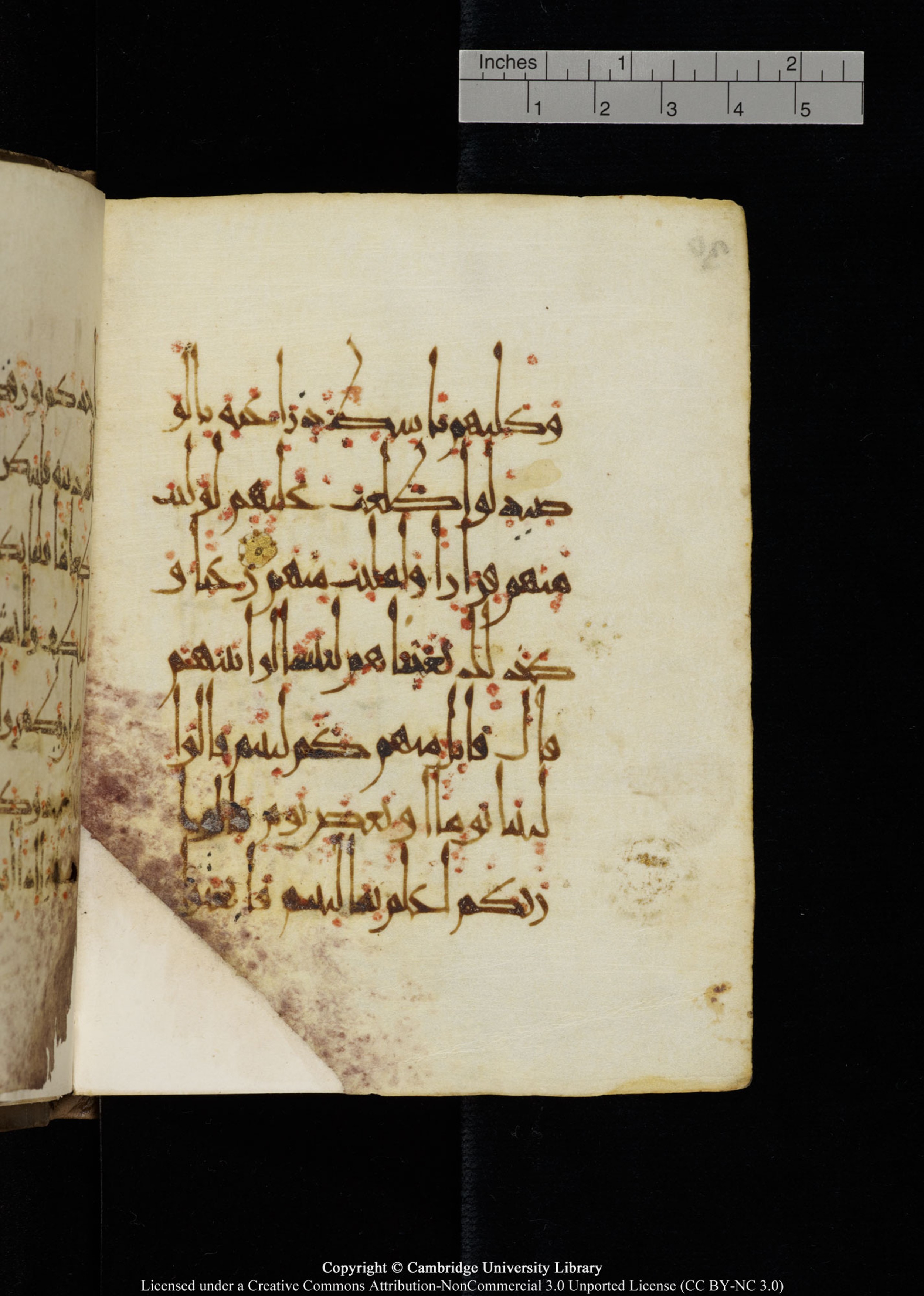 Cambridge, Cambridge University Library, MS Add.1134 (Scan 1), in maġribī script, showing Surah 18:19 from 10th Century AD found in Sinai Peninsula, currently housed at Cambridge University Library, Cambridge