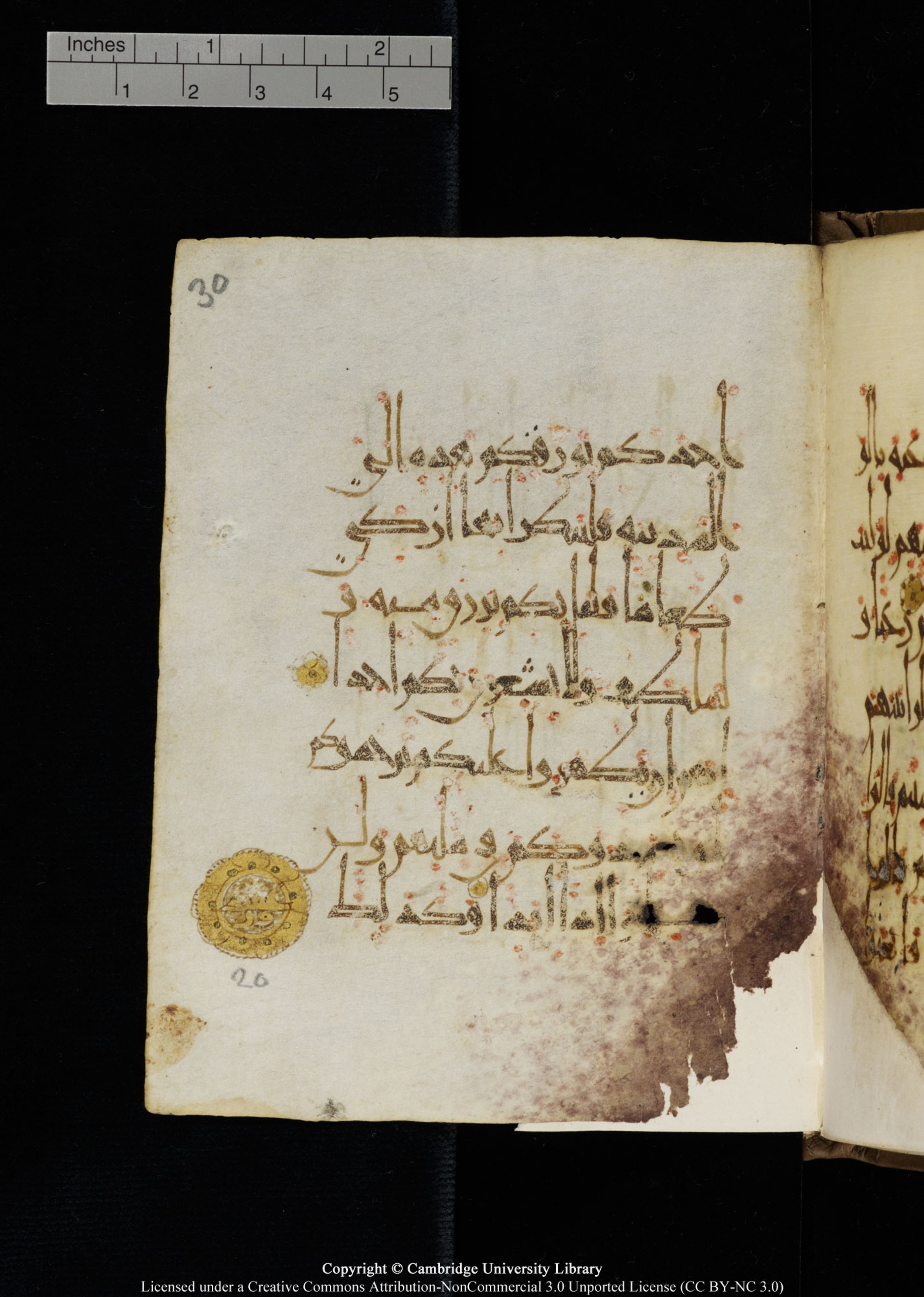 Cambridge, Cambridge University Library, MS Add.1134 (Scan 1), in maġribī script, showing Surah 18:21 from 10th Century AD found in Sinai Peninsula, currently housed at Cambridge University Library, Cambridge