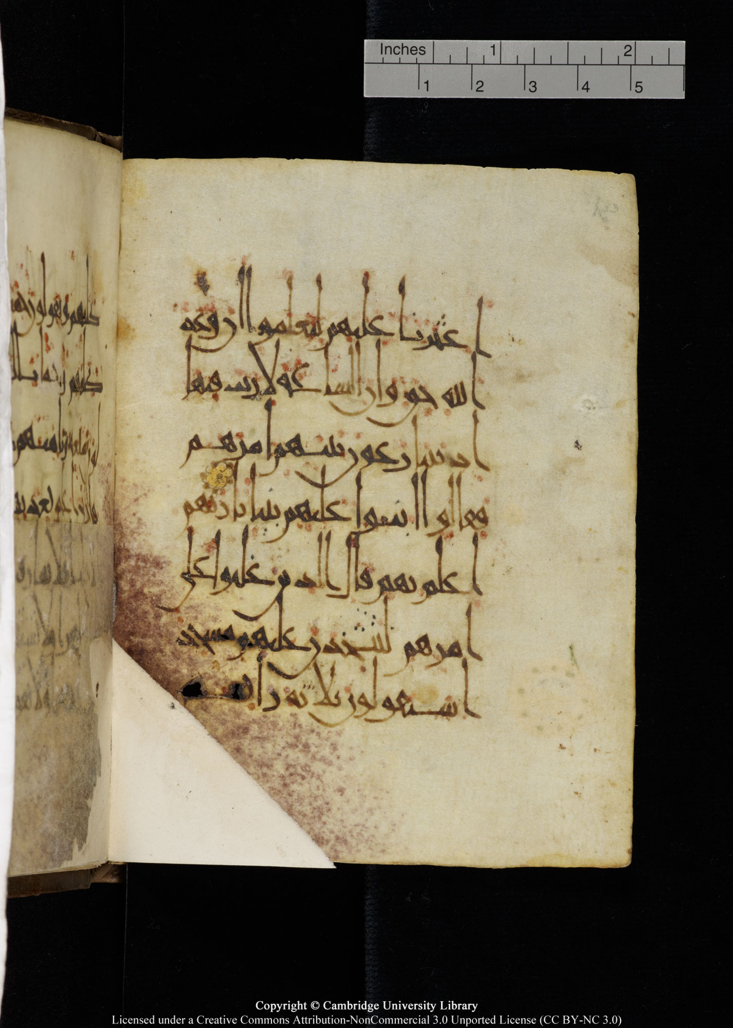 Cambridge, Cambridge University Library, MS Add.1134 (Scan 2), in maġribī script, showing Surah 18:21 from 10th Century AD found in Sinai Peninsula, currently housed at Cambridge University Library, Cambridge