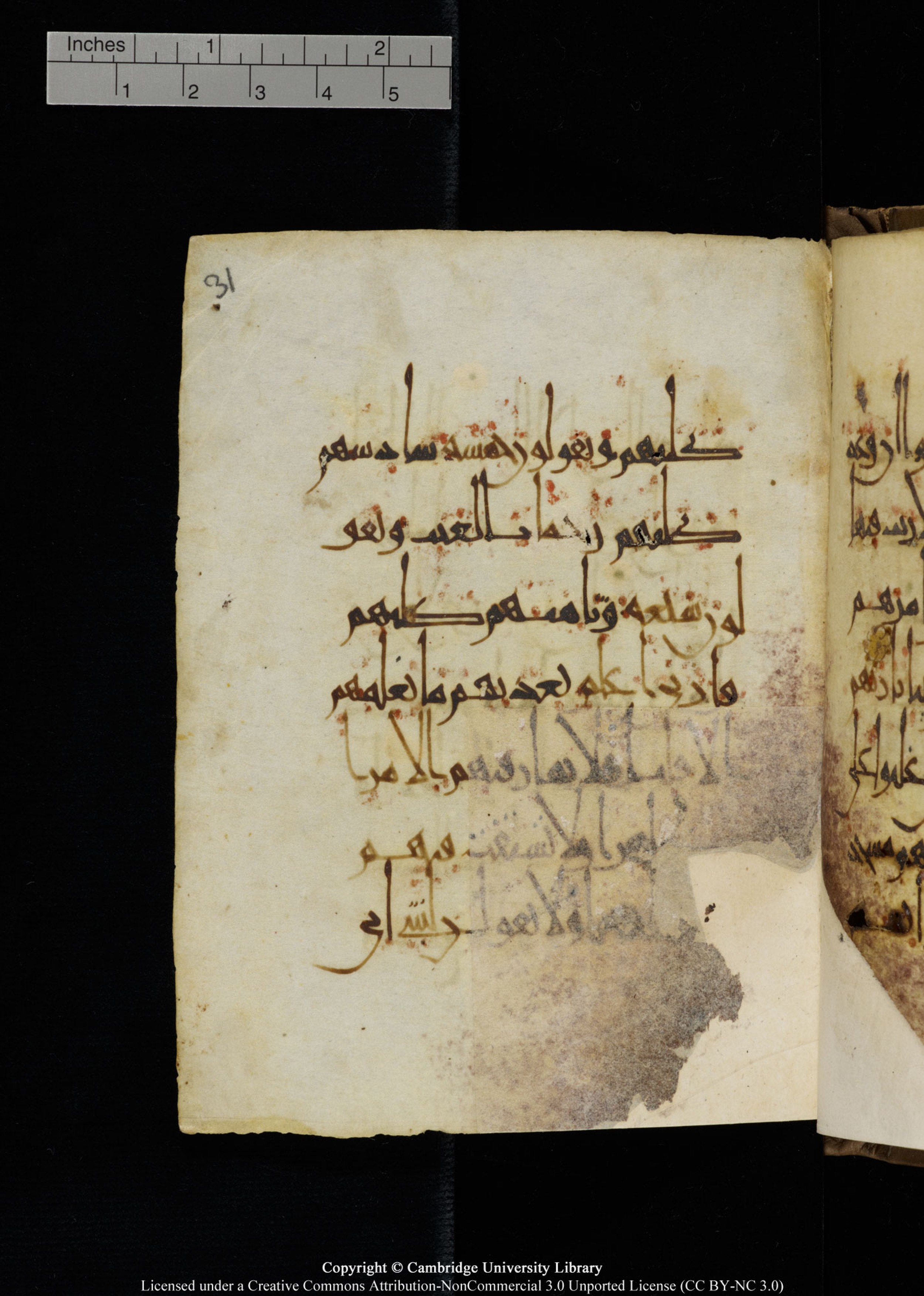 Cambridge, Cambridge University Library, MS Add.1134 (Scan 1), in maġribī script, showing Surah 18:23 from 10th Century AD found in Sinai Peninsula, currently housed at Cambridge University Library, Cambridge